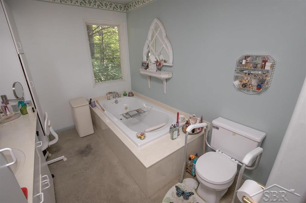 2313 N Meridian Road, Sanford, MI 48657 — Photo 23