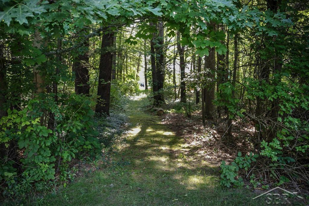 2313 N Meridian Road, Sanford, MI 48657 — Photo 42