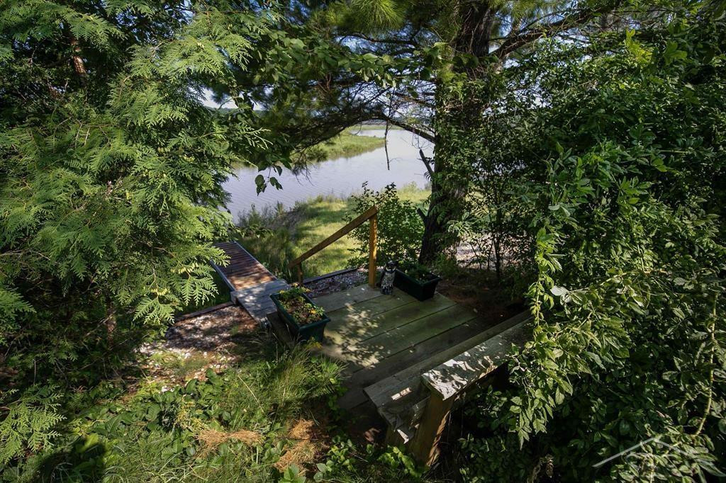 2313 N Meridian Road, Sanford, MI 48657 — Photo 45