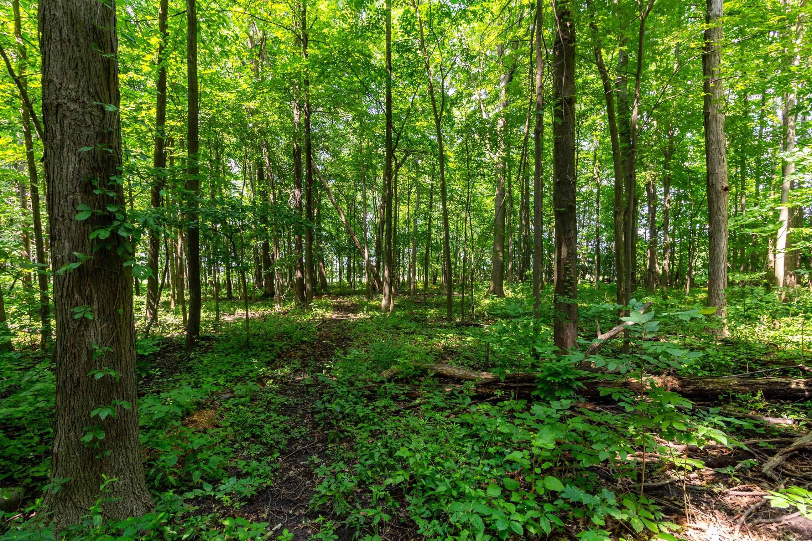 36325 Hebel Road, Richmond, MI 48062 — Photo 47