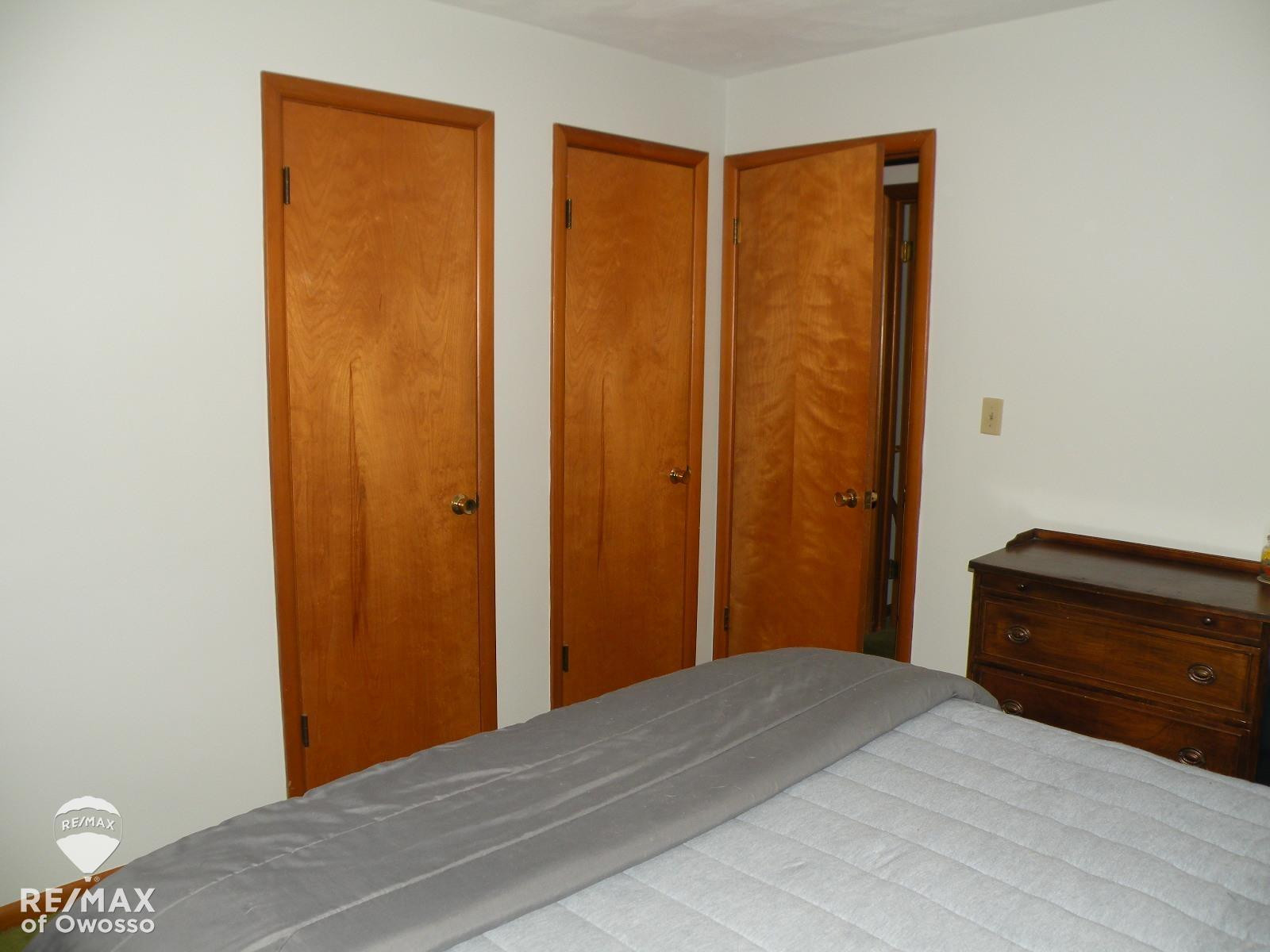 308 Carole, Elsie, MI 48831 — Photo 11