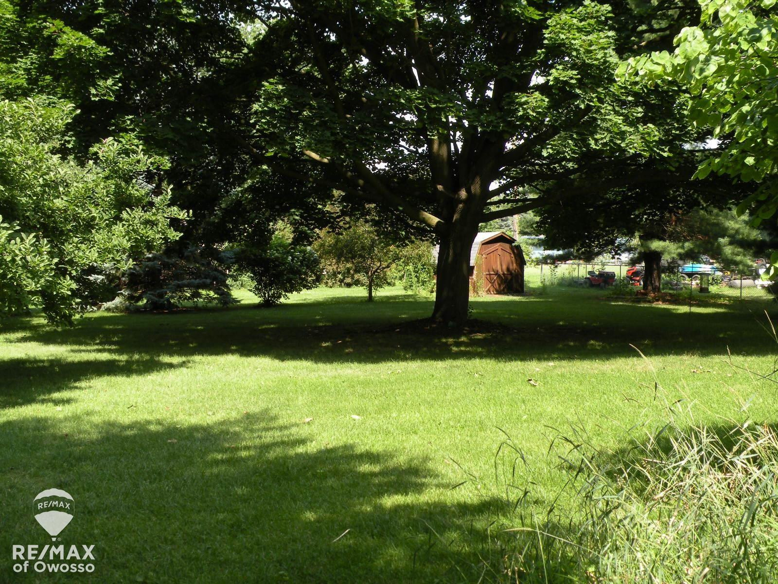 308 Carole, Elsie, MI 48831 — Photo 16