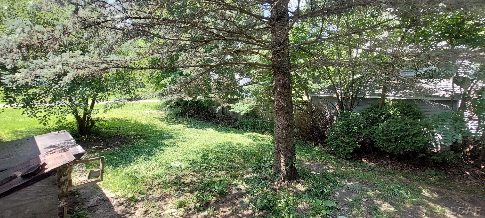 246 S MAIN, Camden, MI 49232 — Photo 12