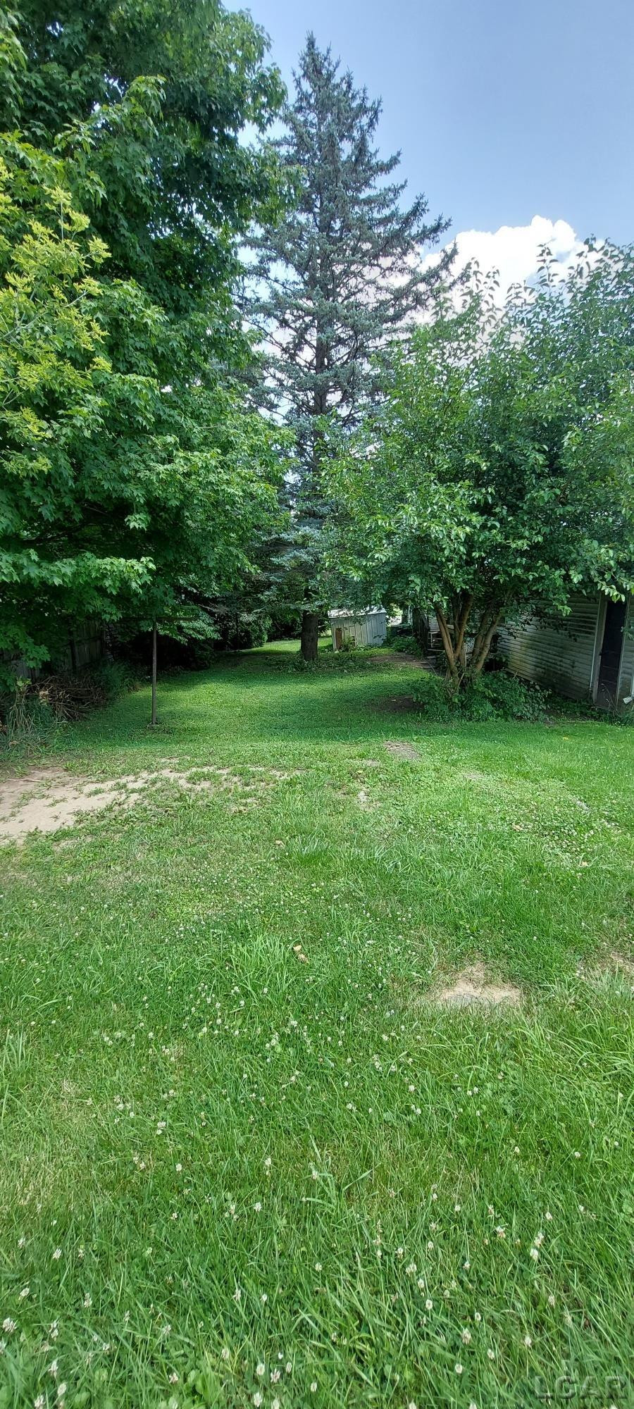 246 S MAIN, Camden, MI 49232 — Photo 14