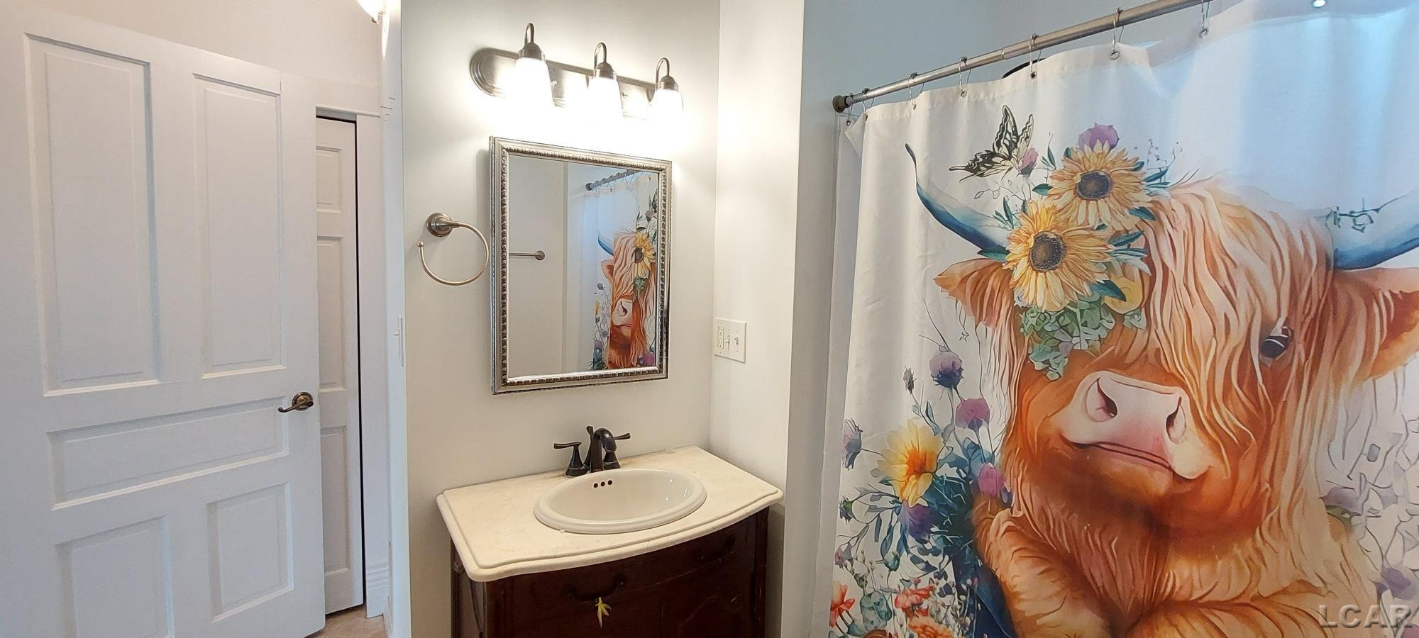 246 S MAIN, Camden, MI 49232 — Photo 39