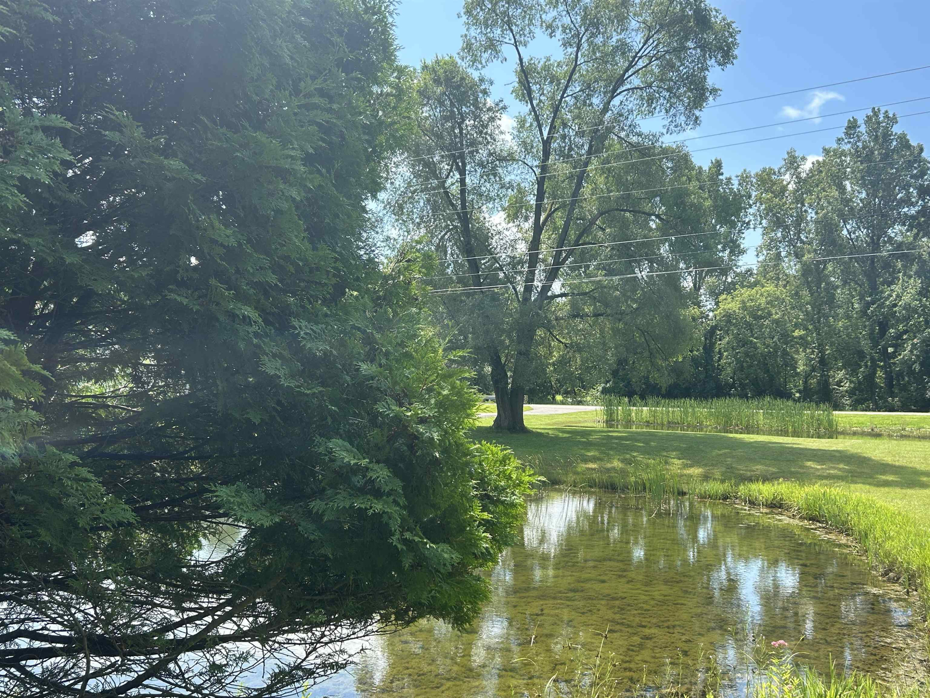 5974 Barnes, Millington, MI 48746 — Photo 9