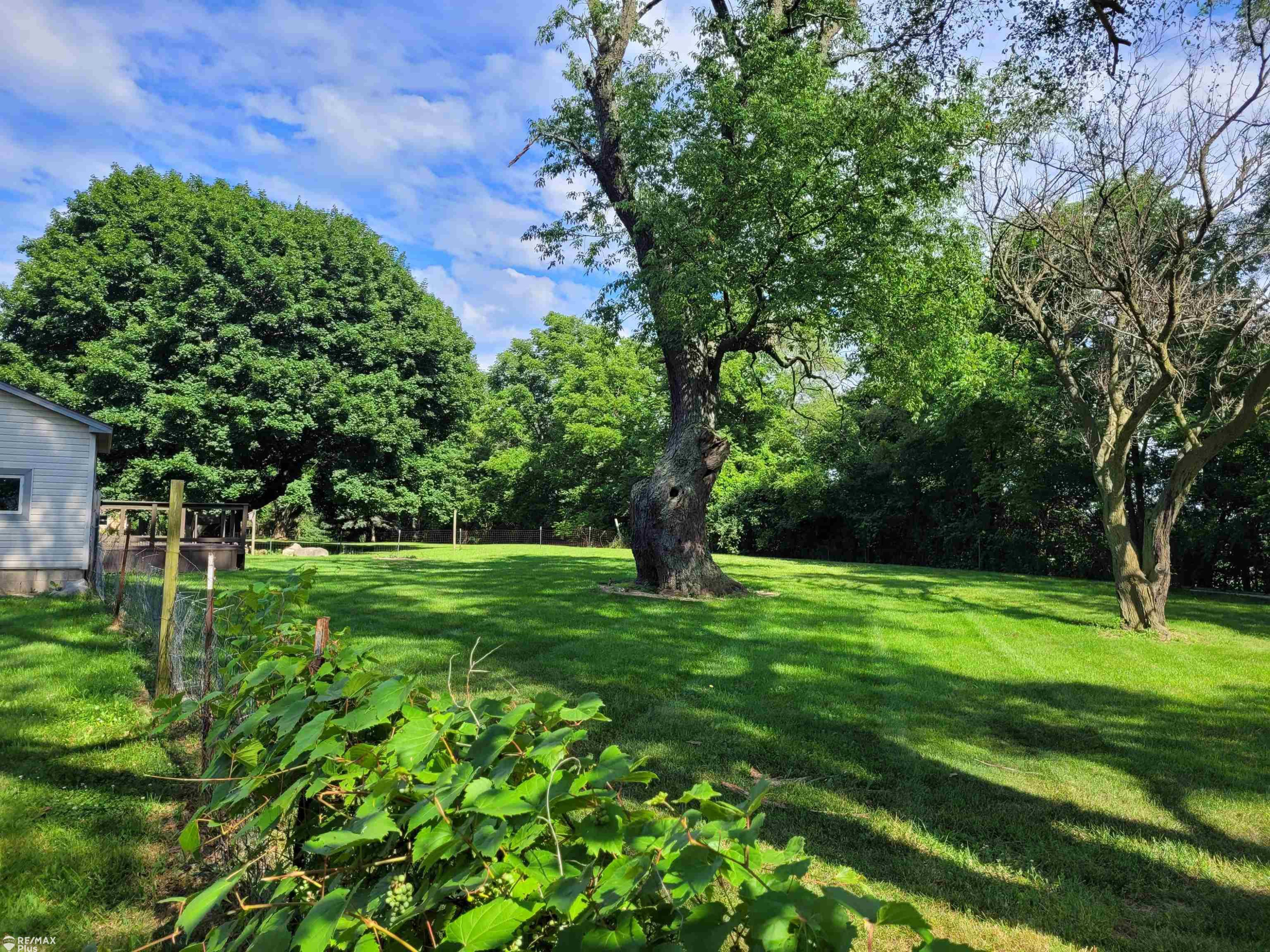 1307 Sharon, Lapeer, MI 48446 — Photo 39