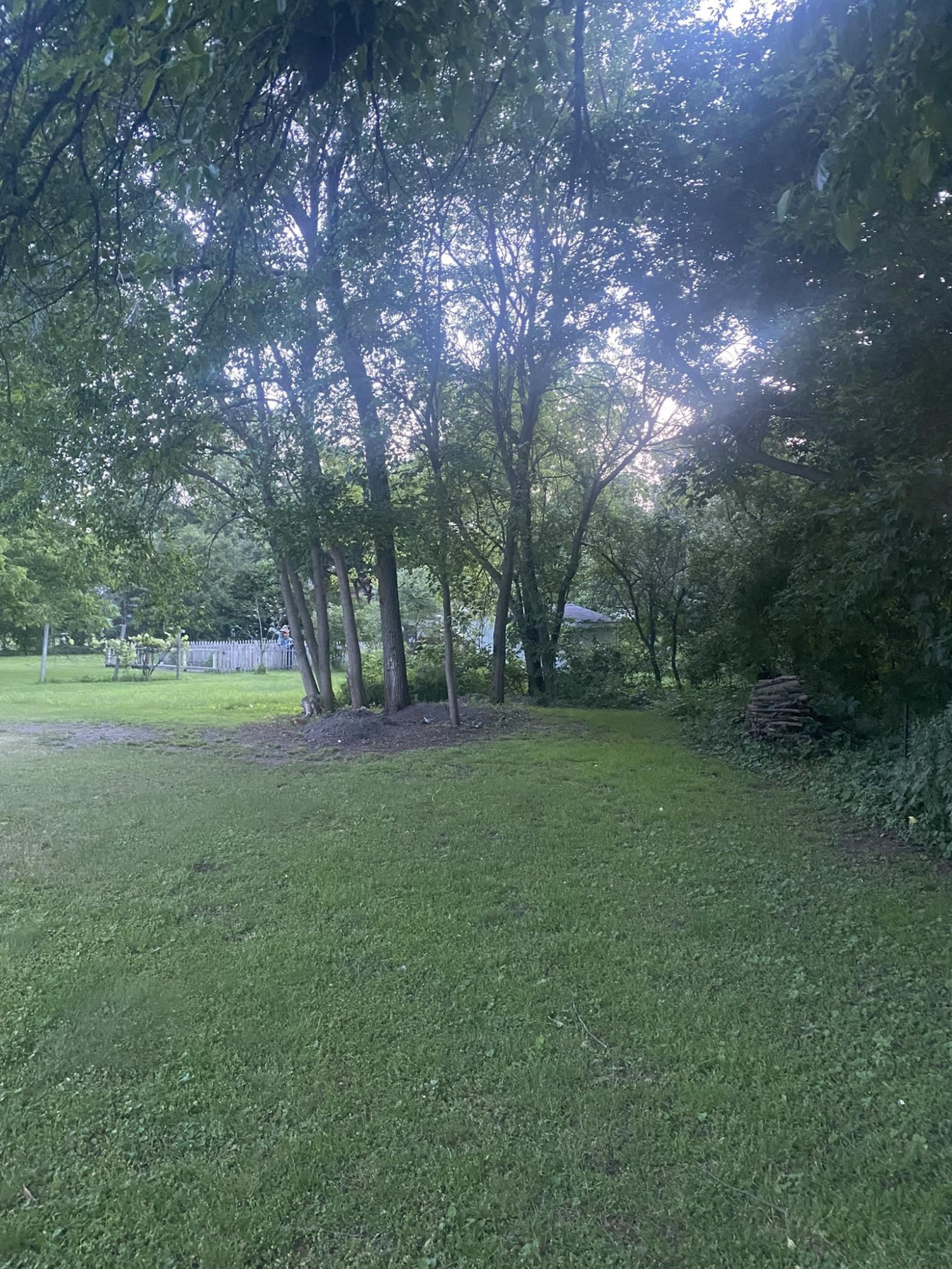 439 N Beck, Sebewaing, MI 48759 — Photo 19
