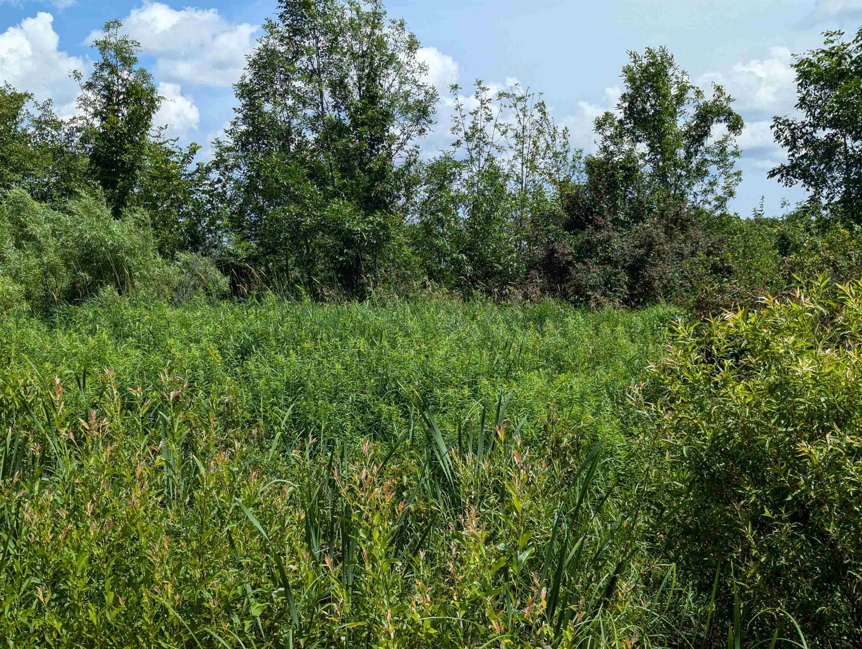 N/A Crosby Road, Turner, MI 48765