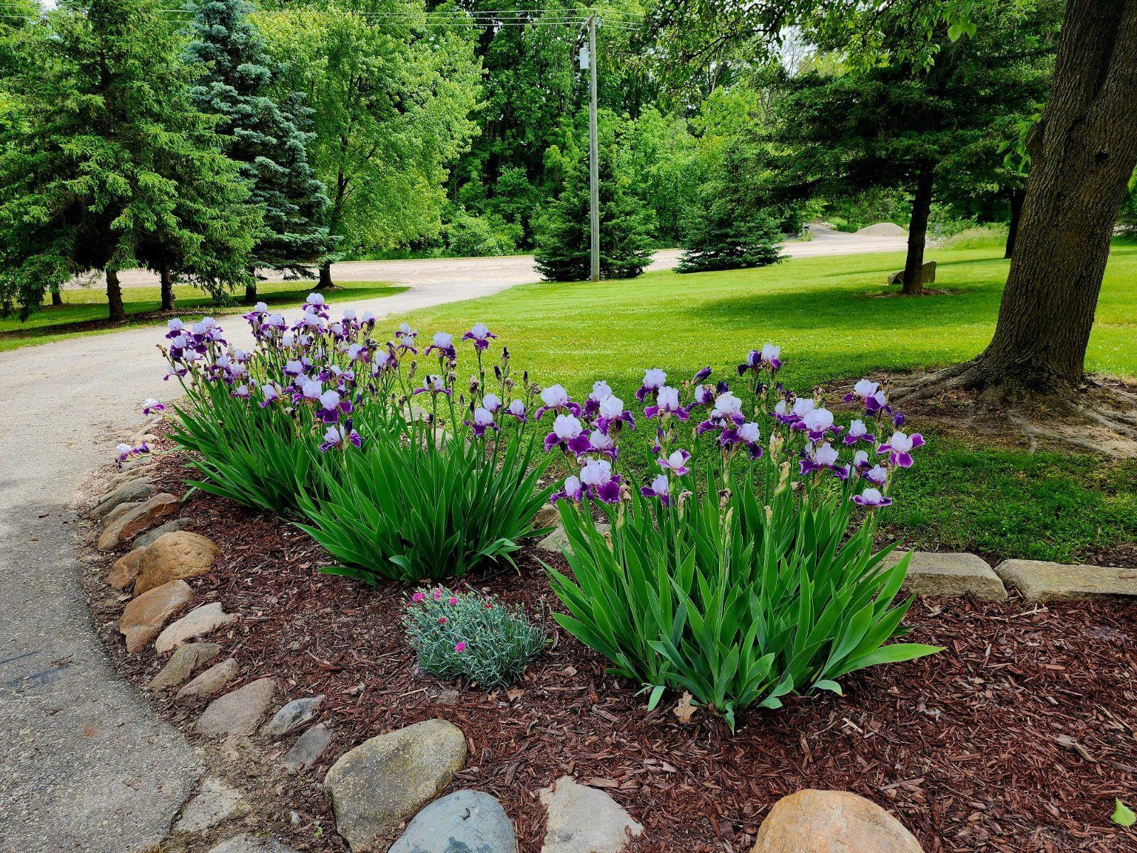 37381 Weber Road, Richmond, MI 48062 — Photo 36