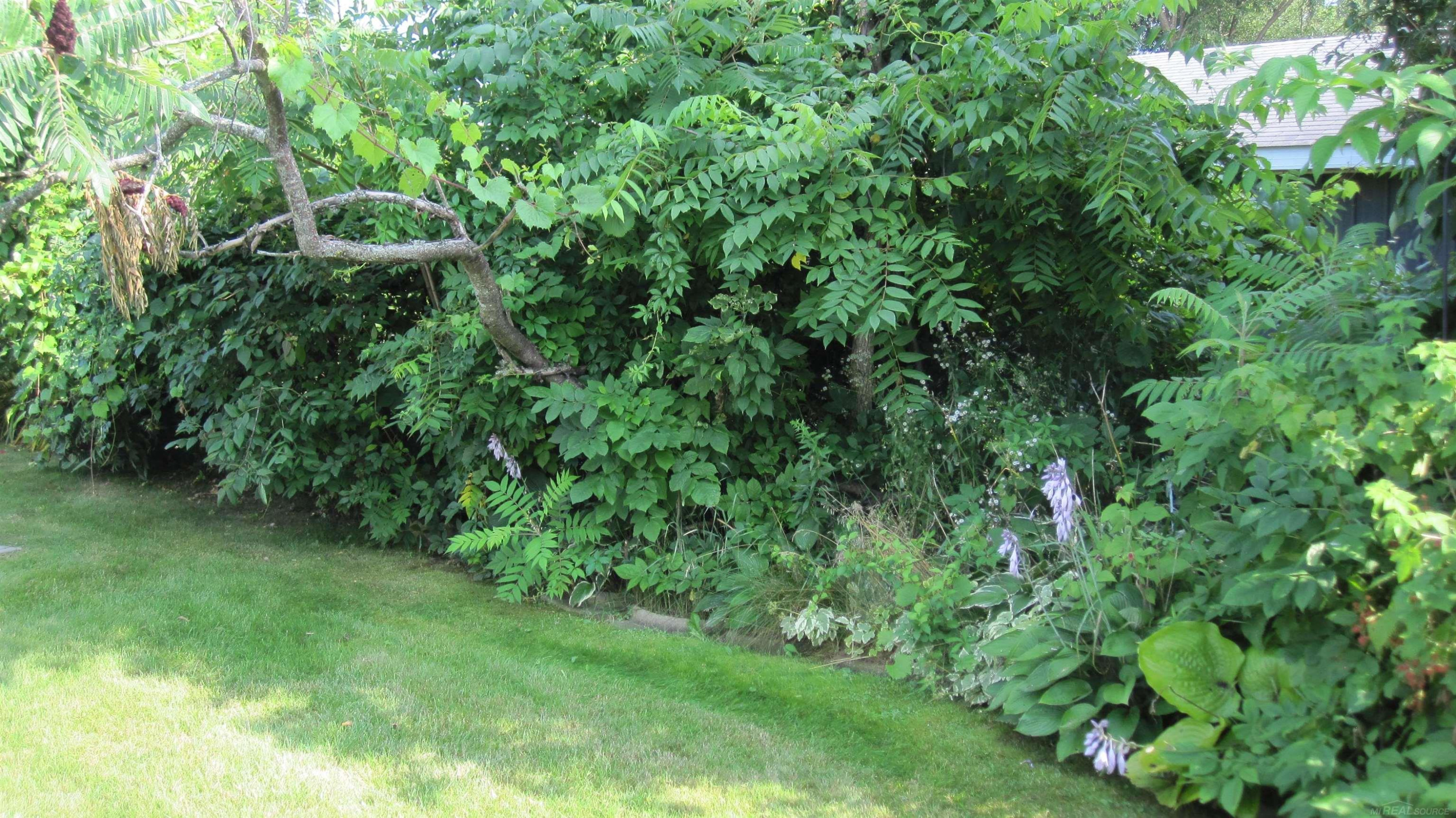 7184 Ben Franklin Drive, Lexington, MI 48450 — Photo 32