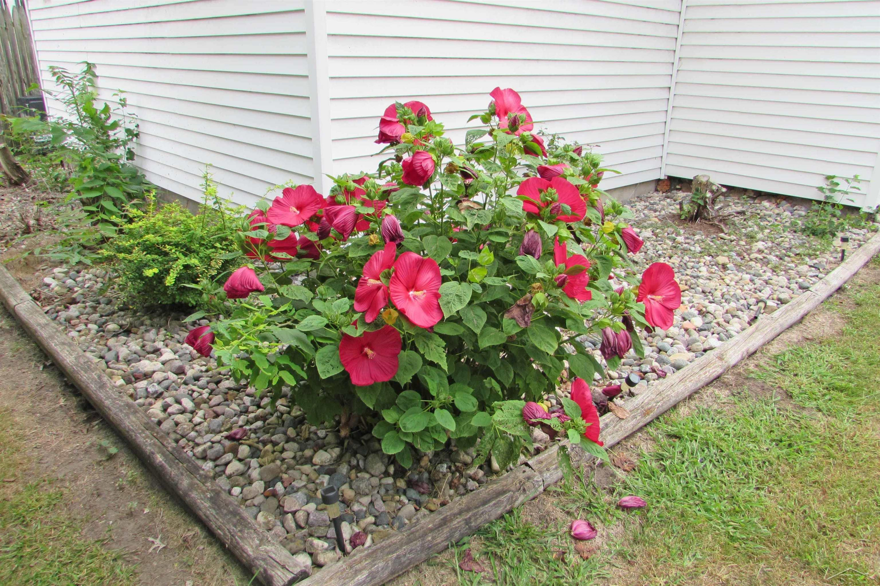 522 Lansing Street, Chesaning, MI 48616 — Photo 8