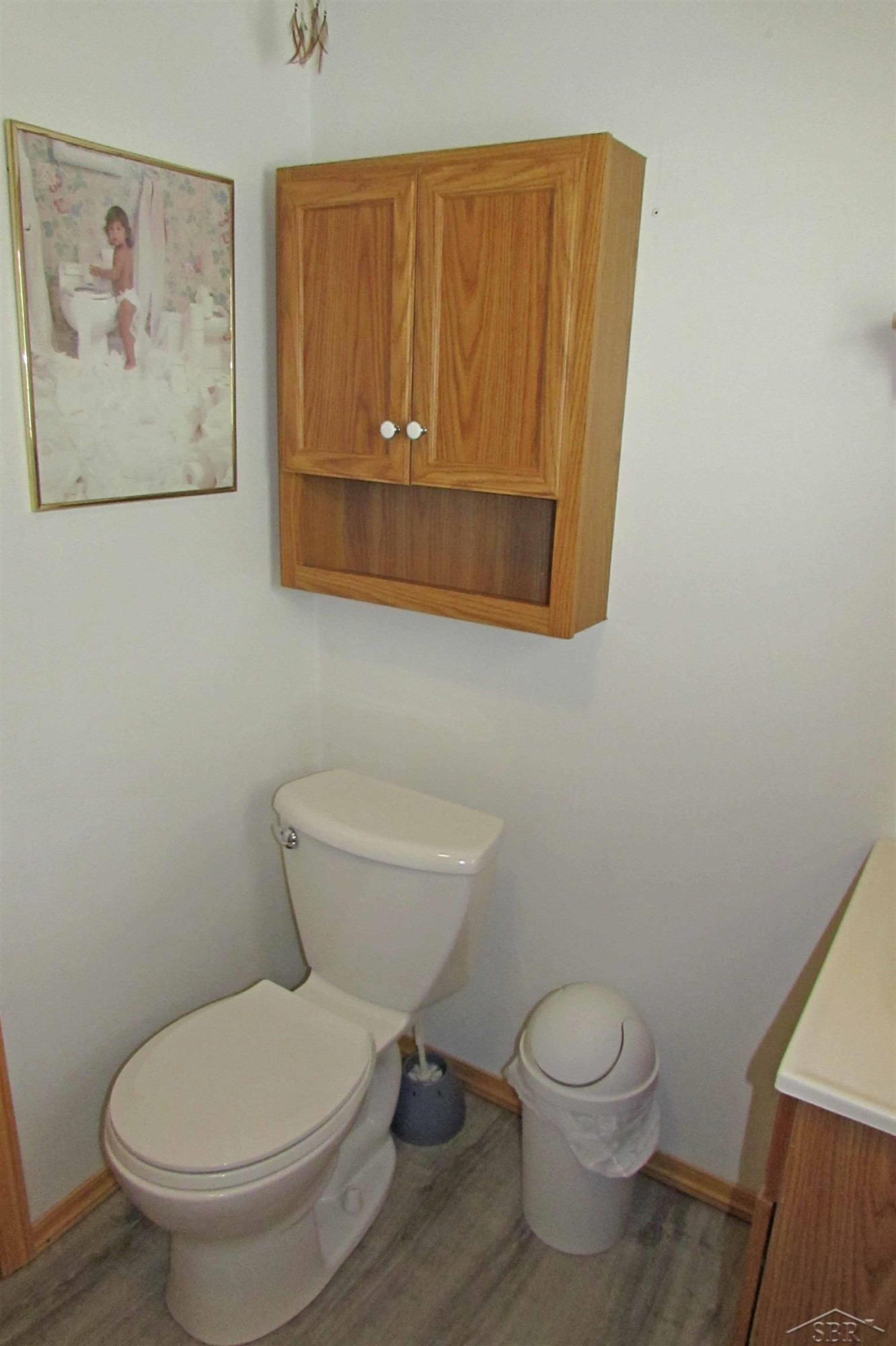 522 Lansing Street, Chesaning, MI 48616 — Photo 18