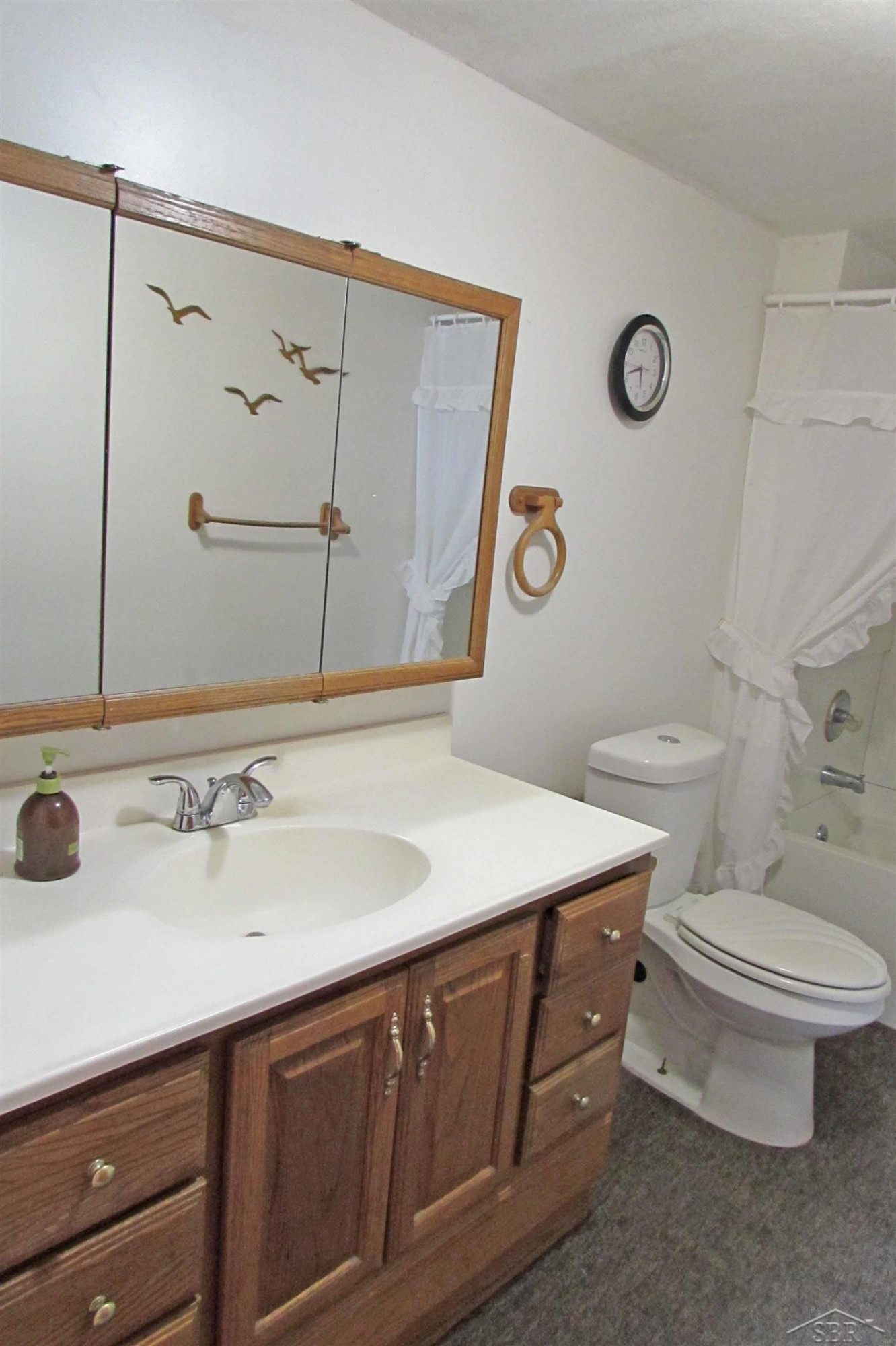 522 Lansing Street, Chesaning, MI 48616 — Photo 24