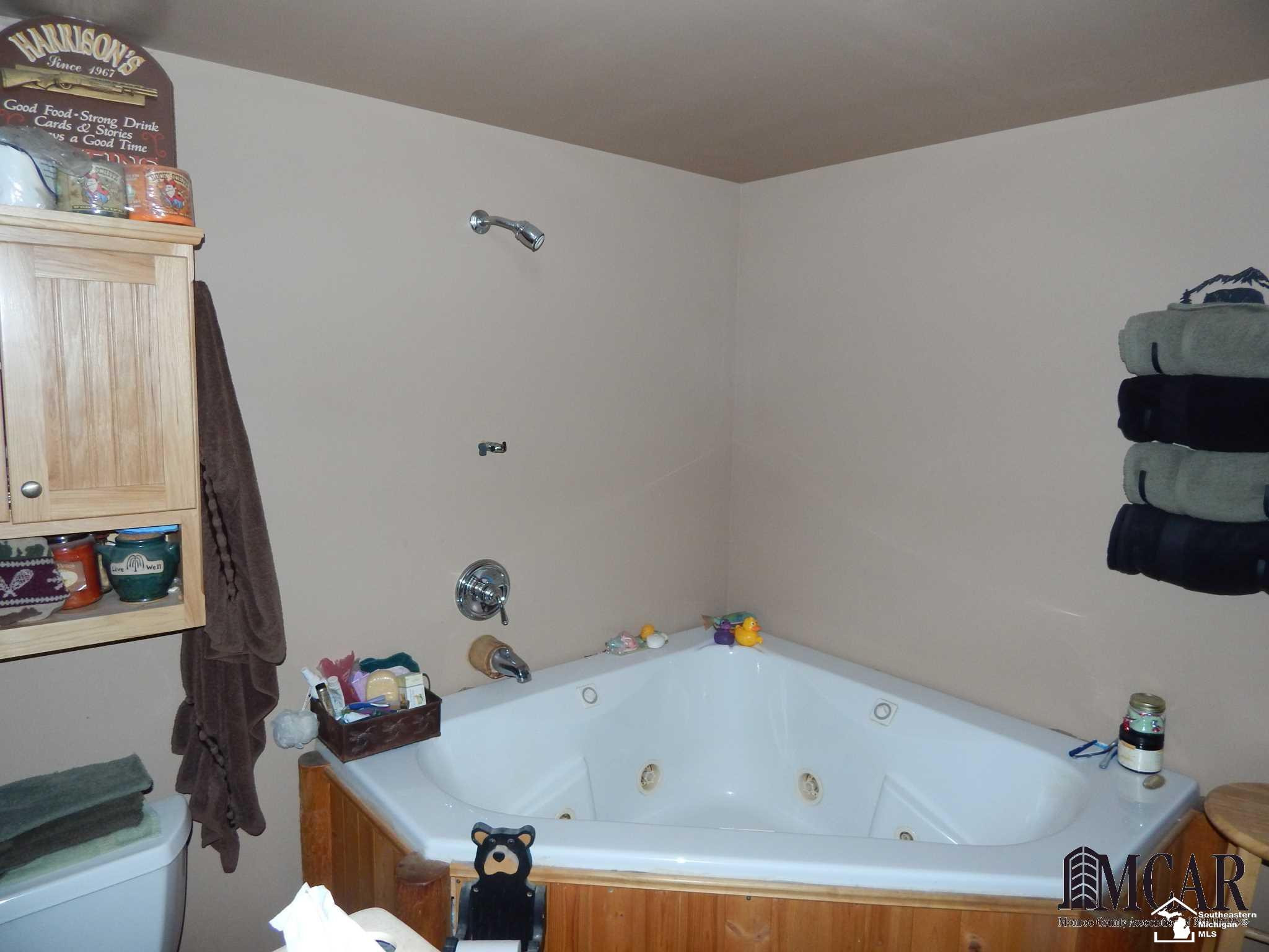 12695 W CARLETON, Clayton, MI 49235 — Photo 13