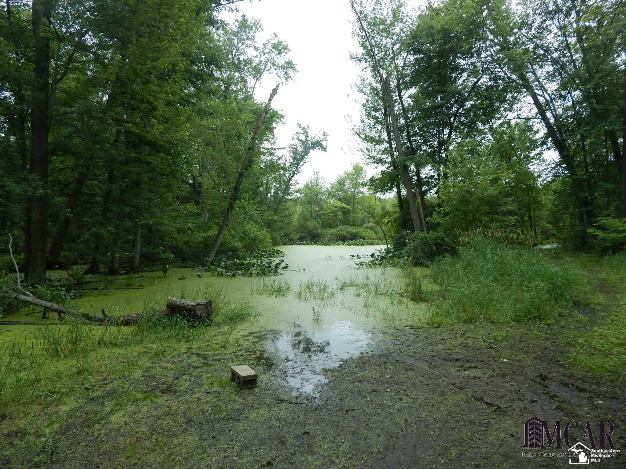 12695 W CARLETON, Clayton, MI 49235 — Photo 25