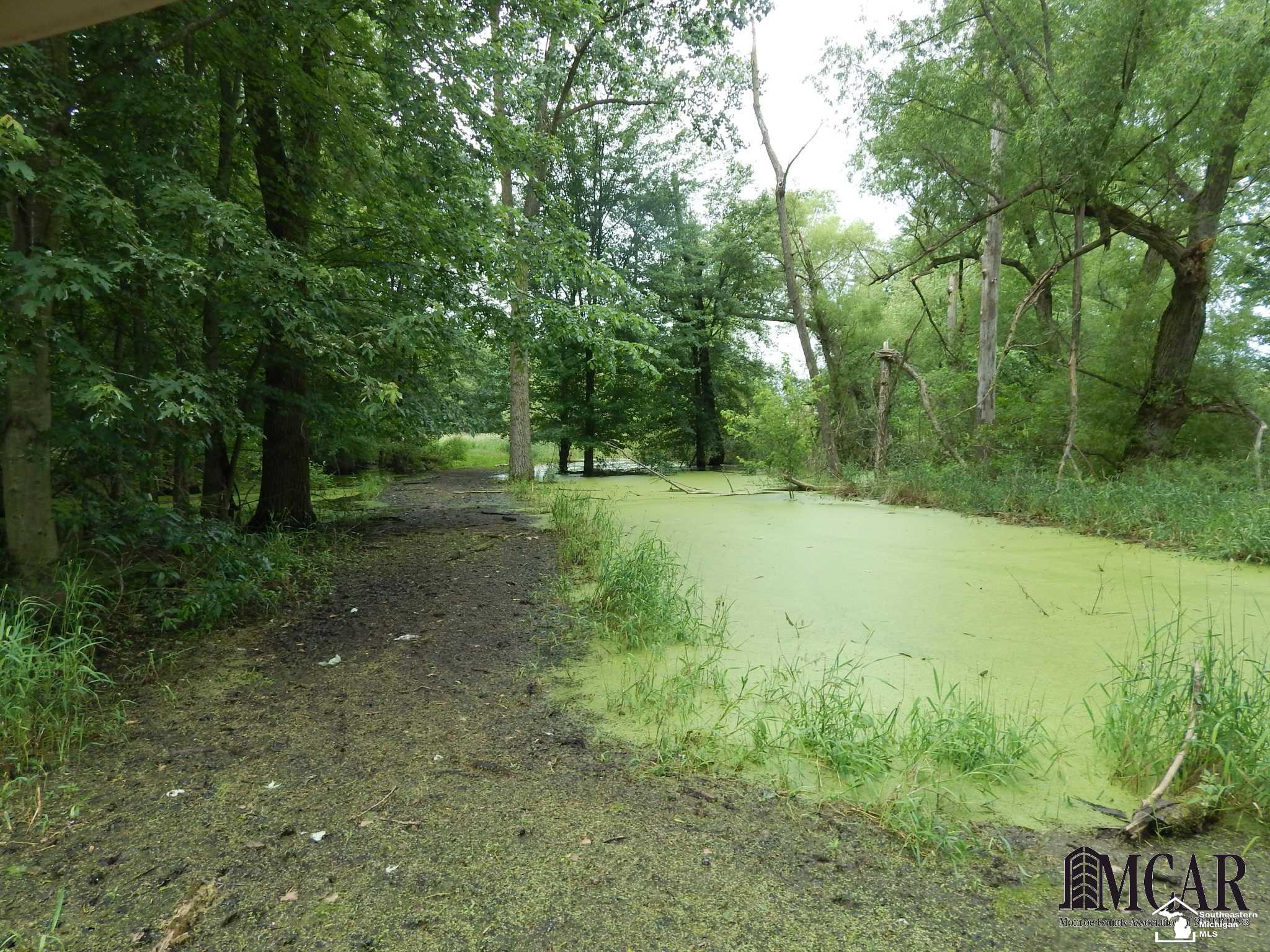 12695 W CARLETON, Clayton, MI 49235 — Photo 27