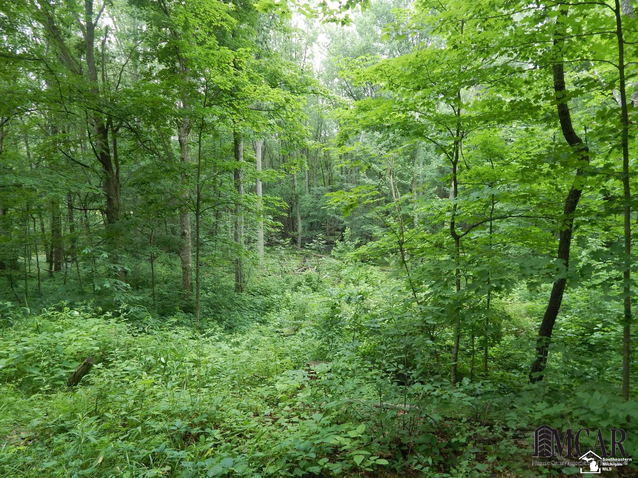 12695 W CARLETON, Clayton, MI 49235 — Photo 28