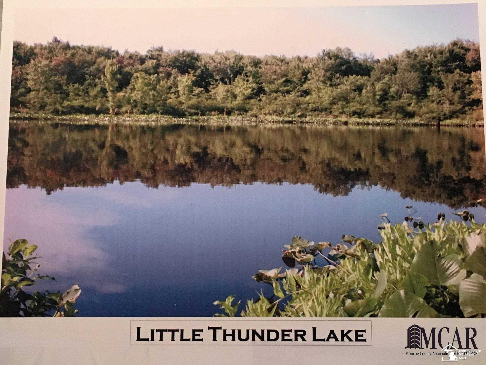 12695 W CARLETON, Clayton, MI 49235 — Photo 30
