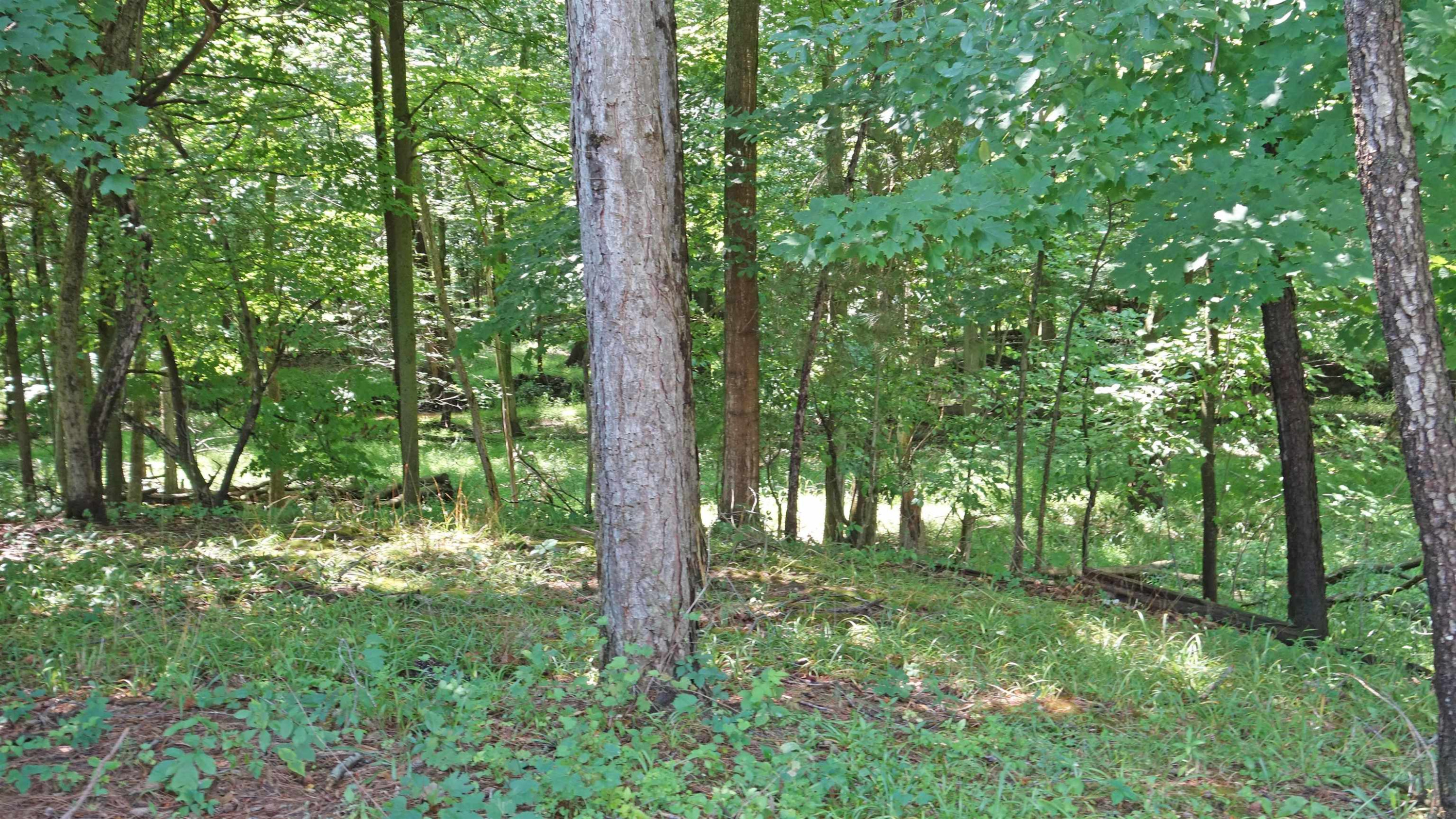 16853 Schroeder, Brant, MI 48614 — Photo 14