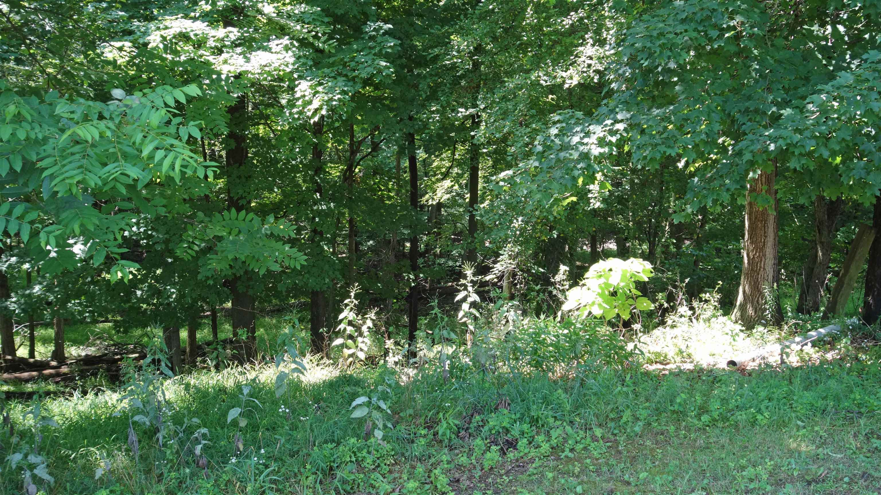 16853 Schroeder, Brant, MI 48614 — Photo 15