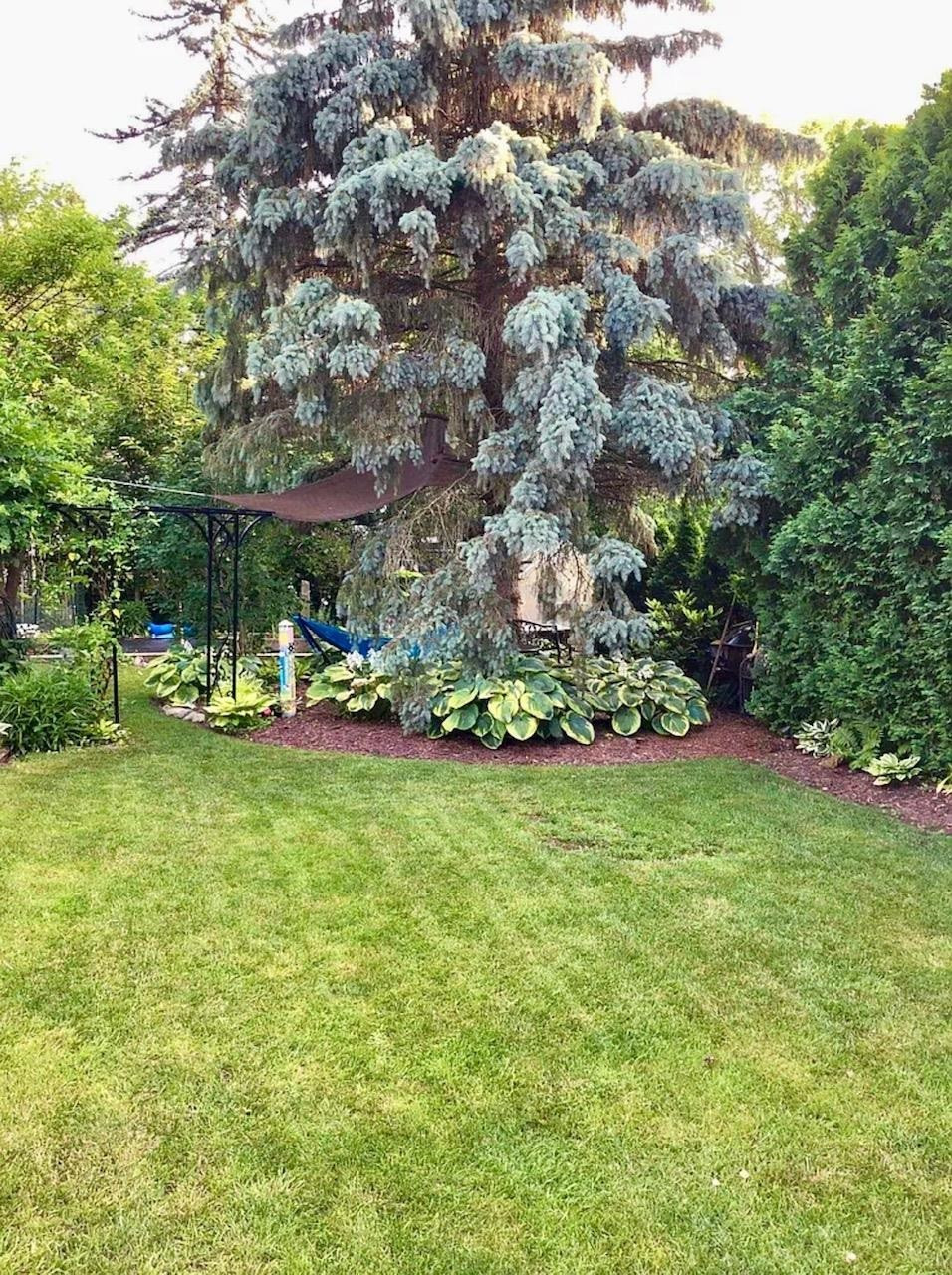 324 W Saint Clair, MI 48065 — Photo 4