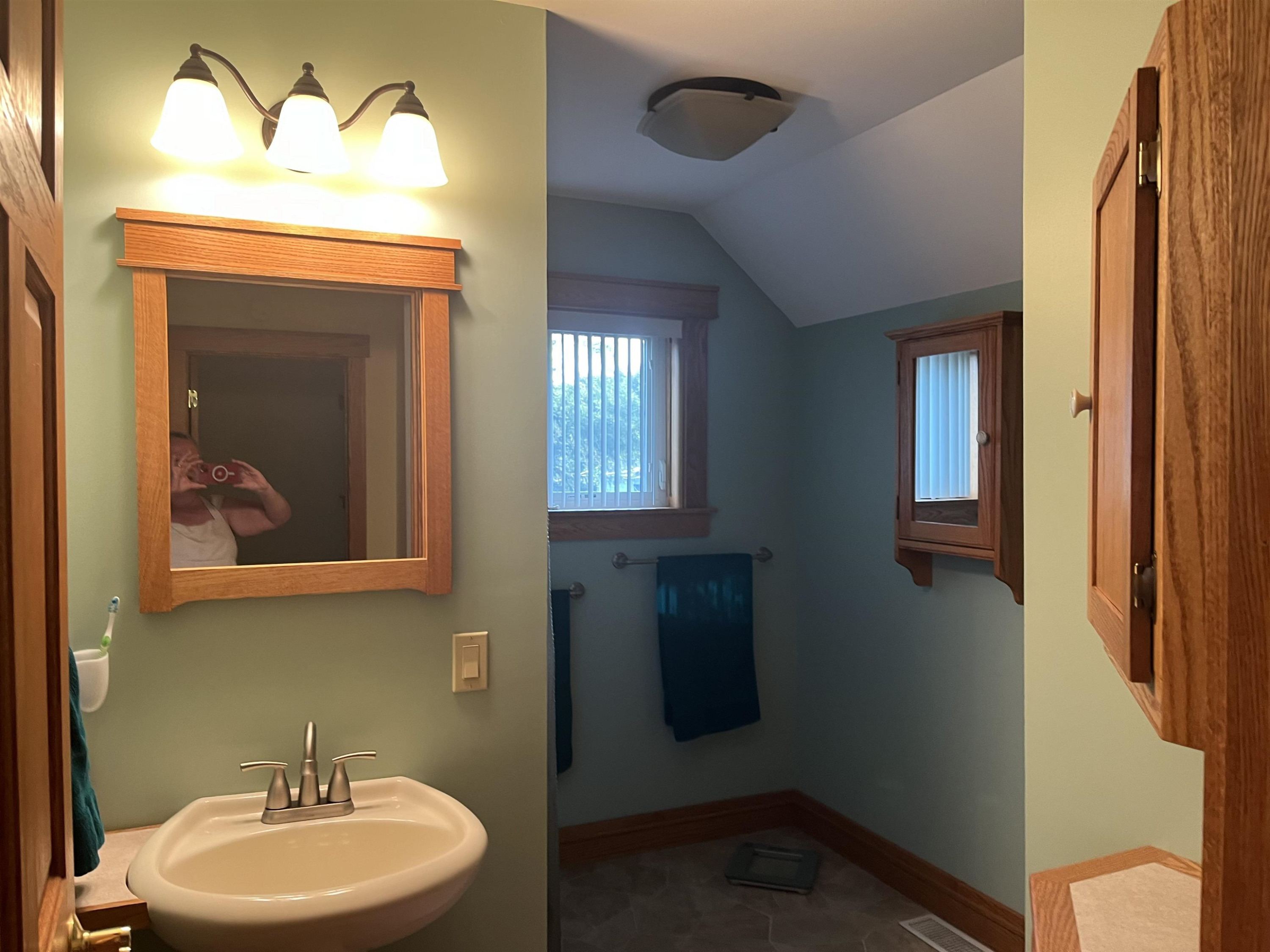 210 Mason, Chesaning, MI 48616 — Photo 20