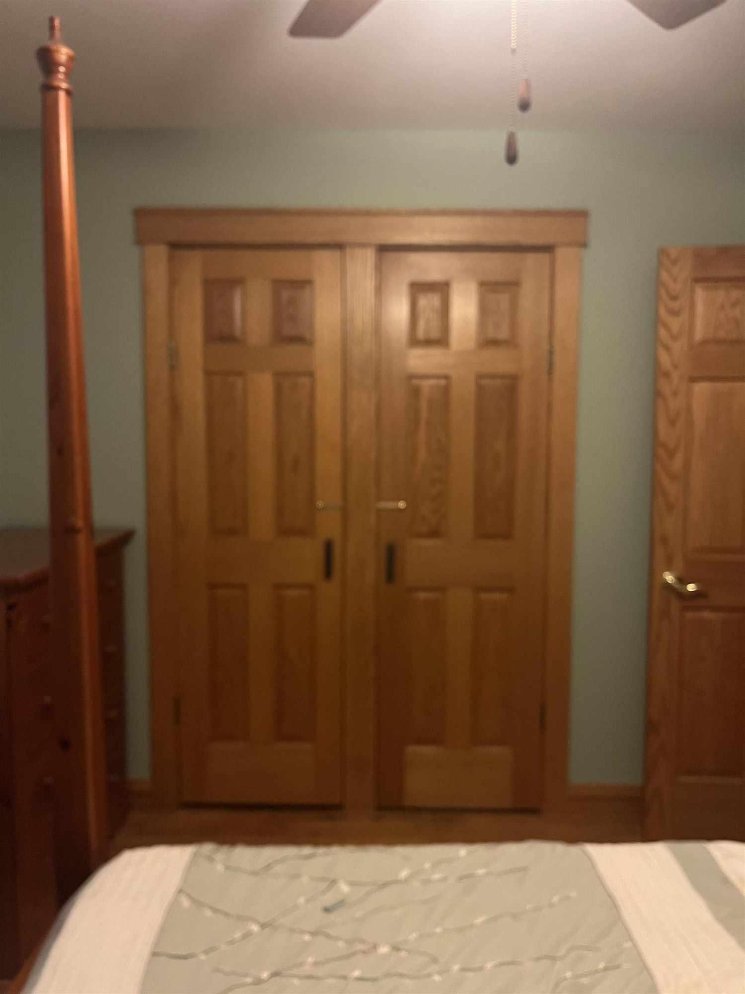210 Mason, Chesaning, MI 48616 — Photo 26
