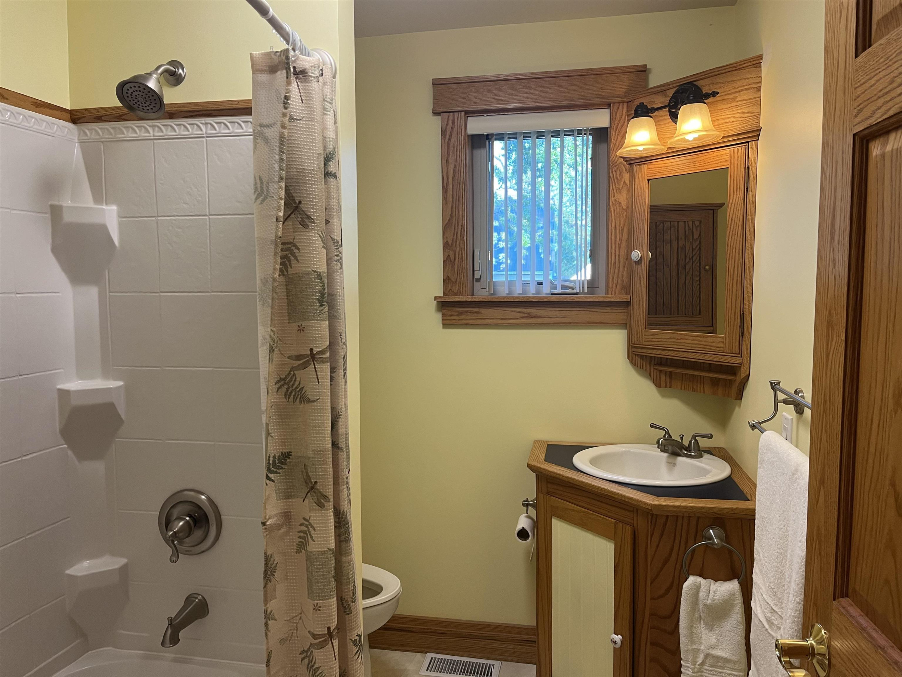 210 Mason, Chesaning, MI 48616 — Photo 27