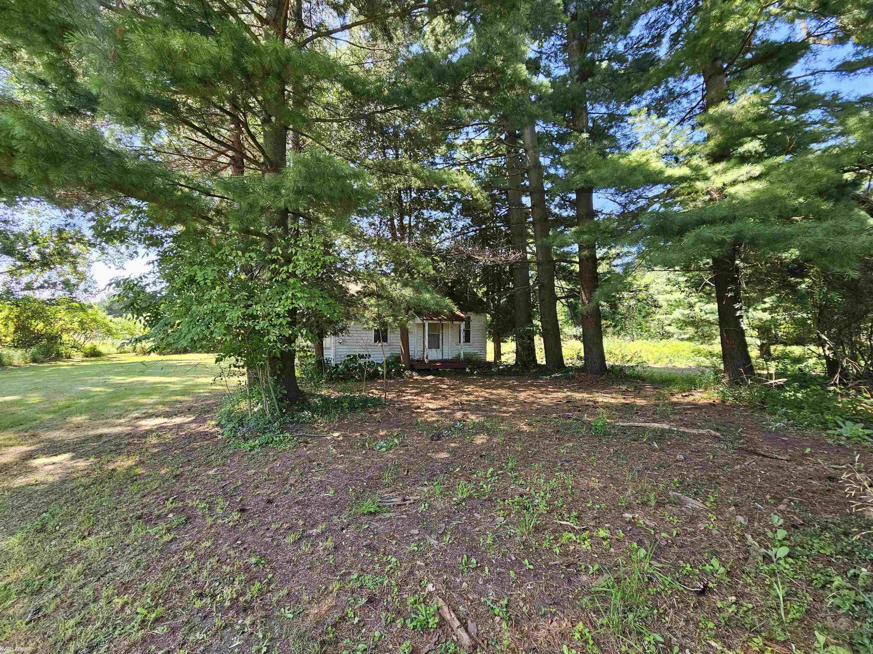 6260 Day Road, MI 48419 — Photo 9