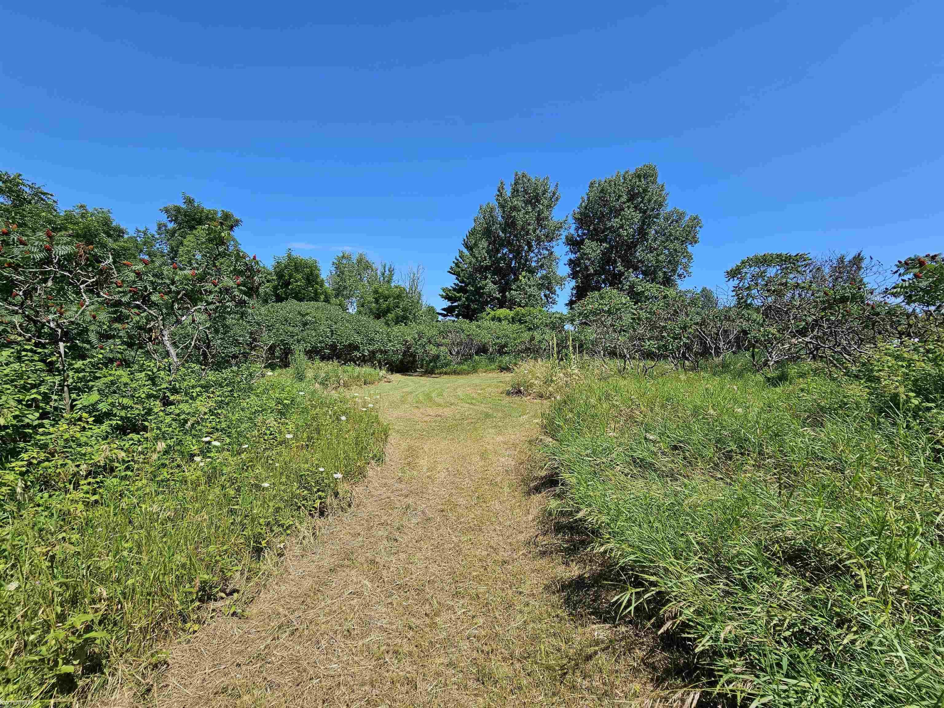 6260 Day Road, MI 48419 — Photo 12