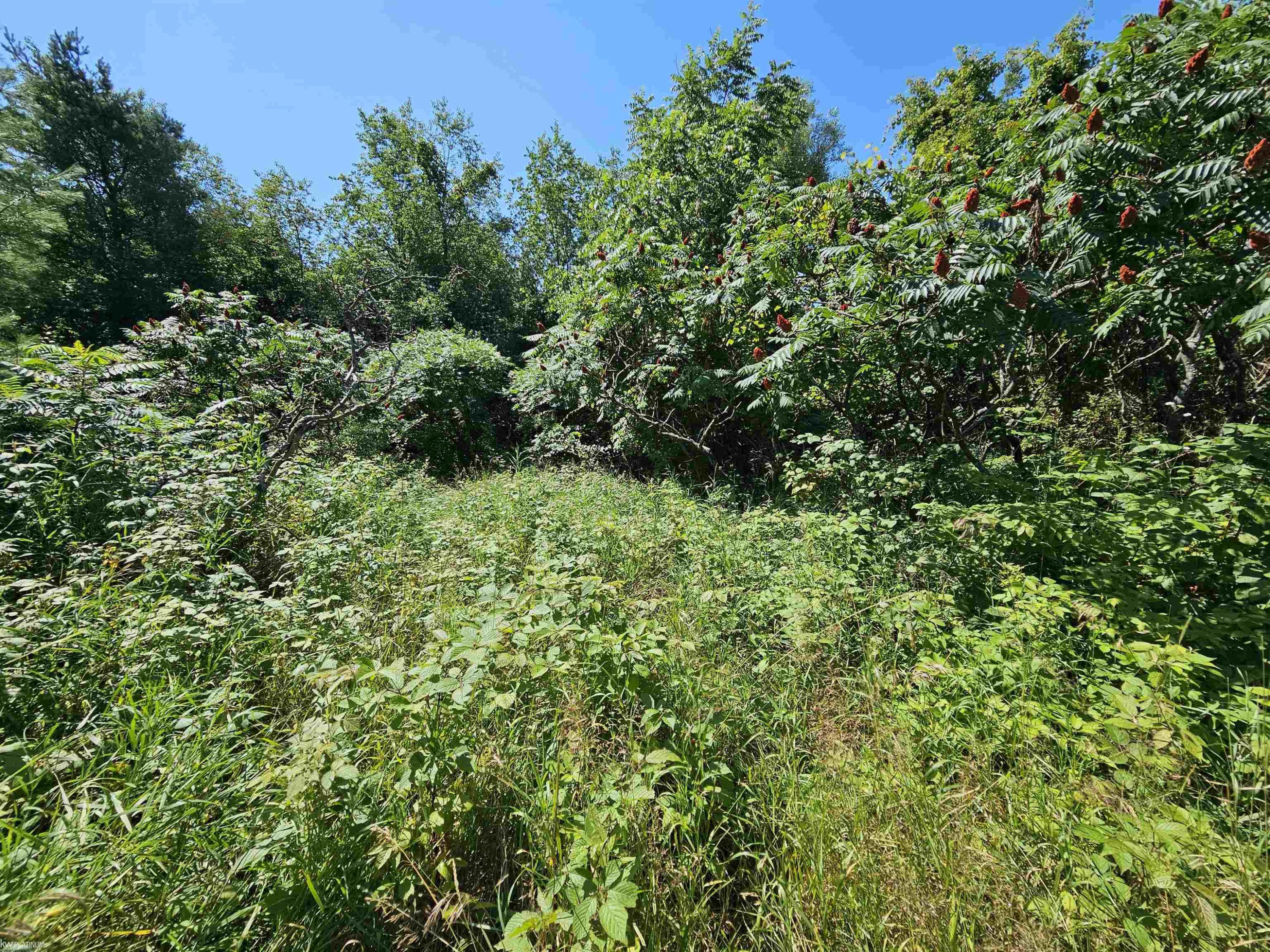 6260 Day Road, MI 48419 — Photo 15