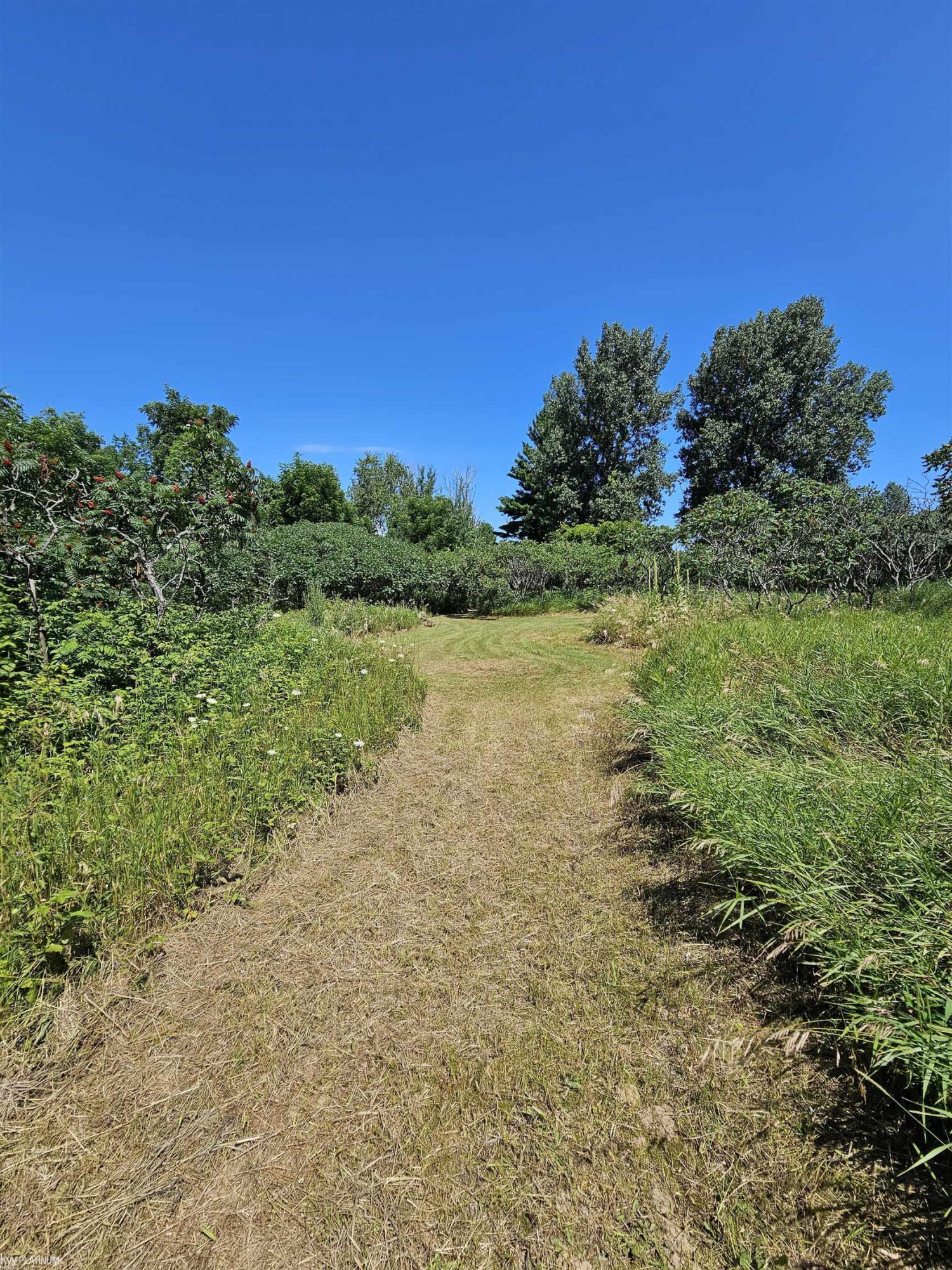 6260 Day Road, MI 48419 — Photo 16