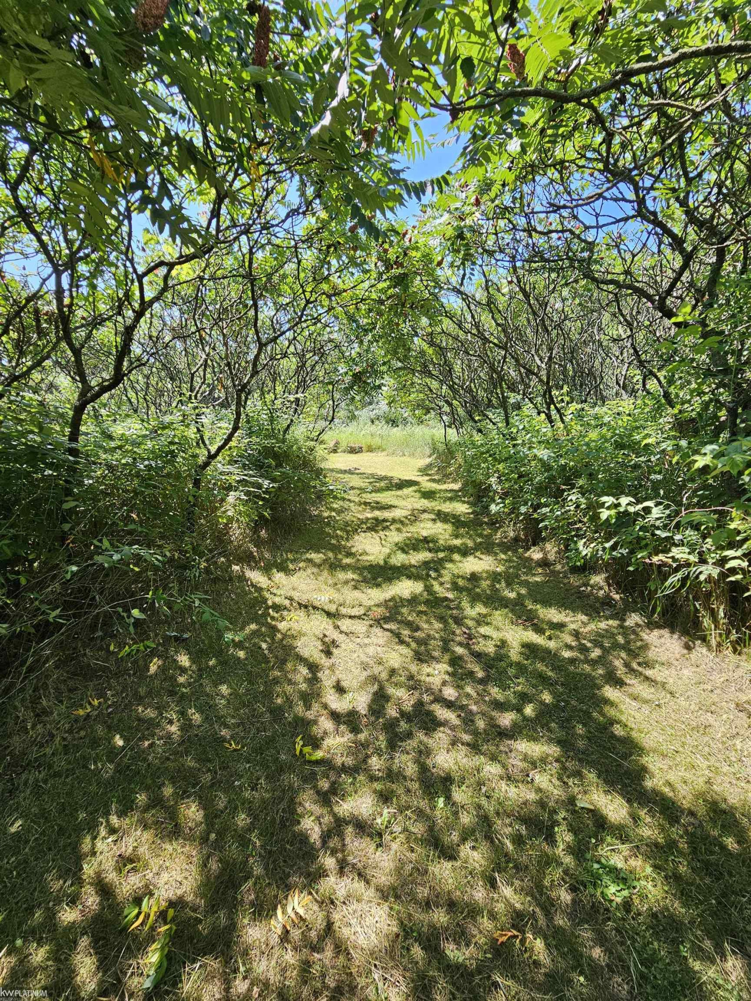 6260 Day Road, MI 48419 — Photo 17
