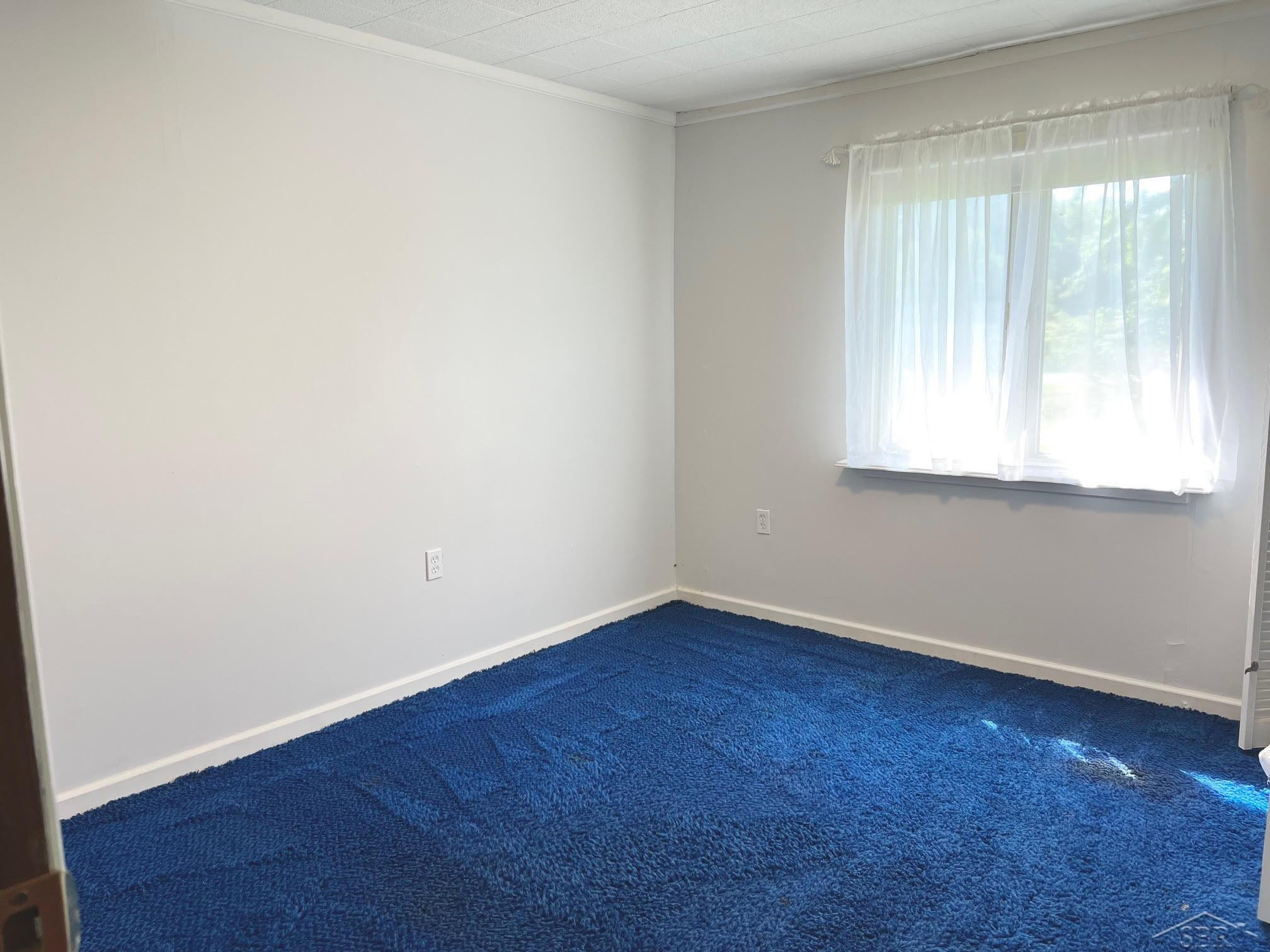 15240 W Townline Road, Saint Charles, MI 48655 — Photo 12