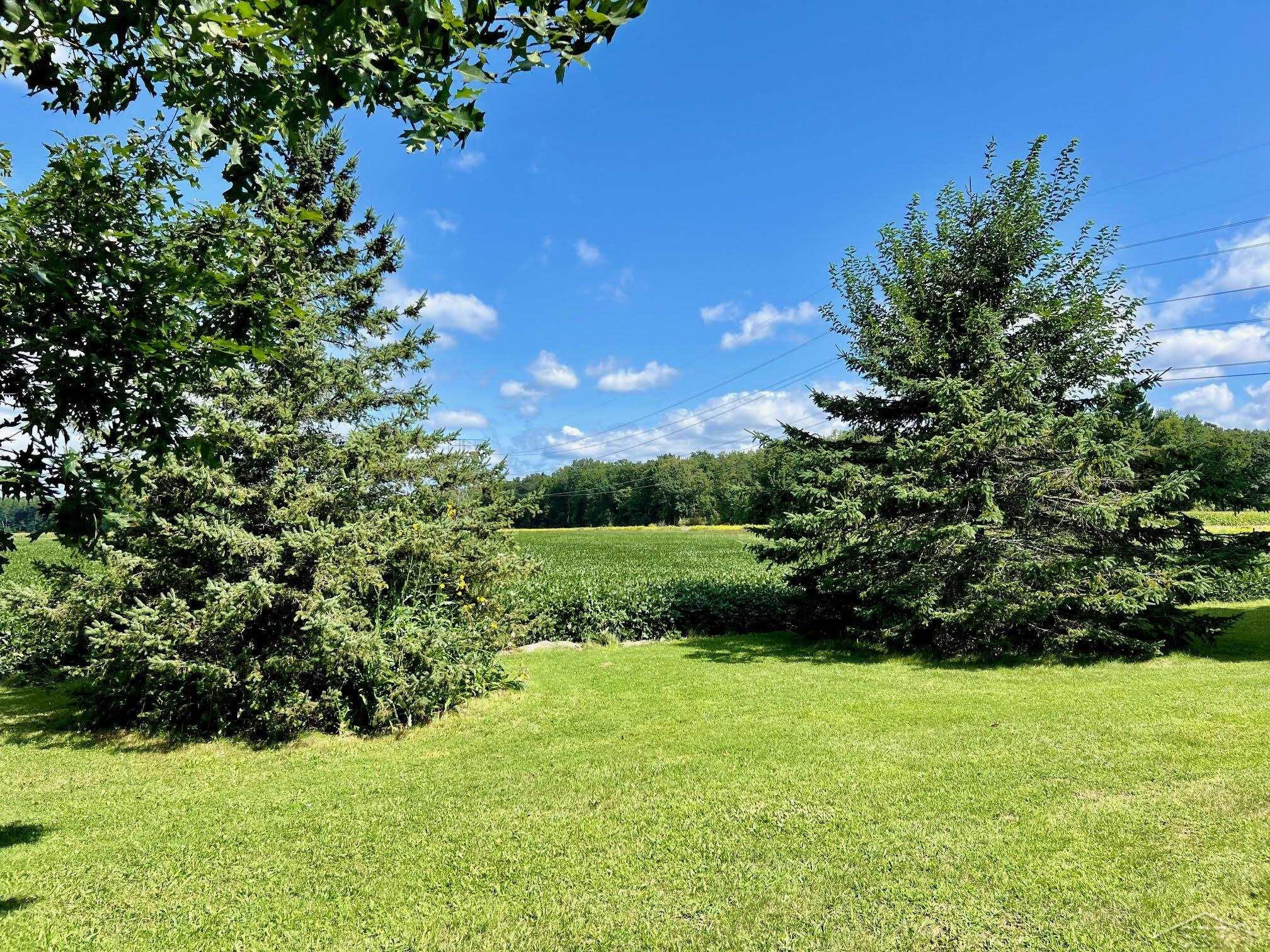 15240 W Townline Road, Saint Charles, MI 48655 — Photo 17