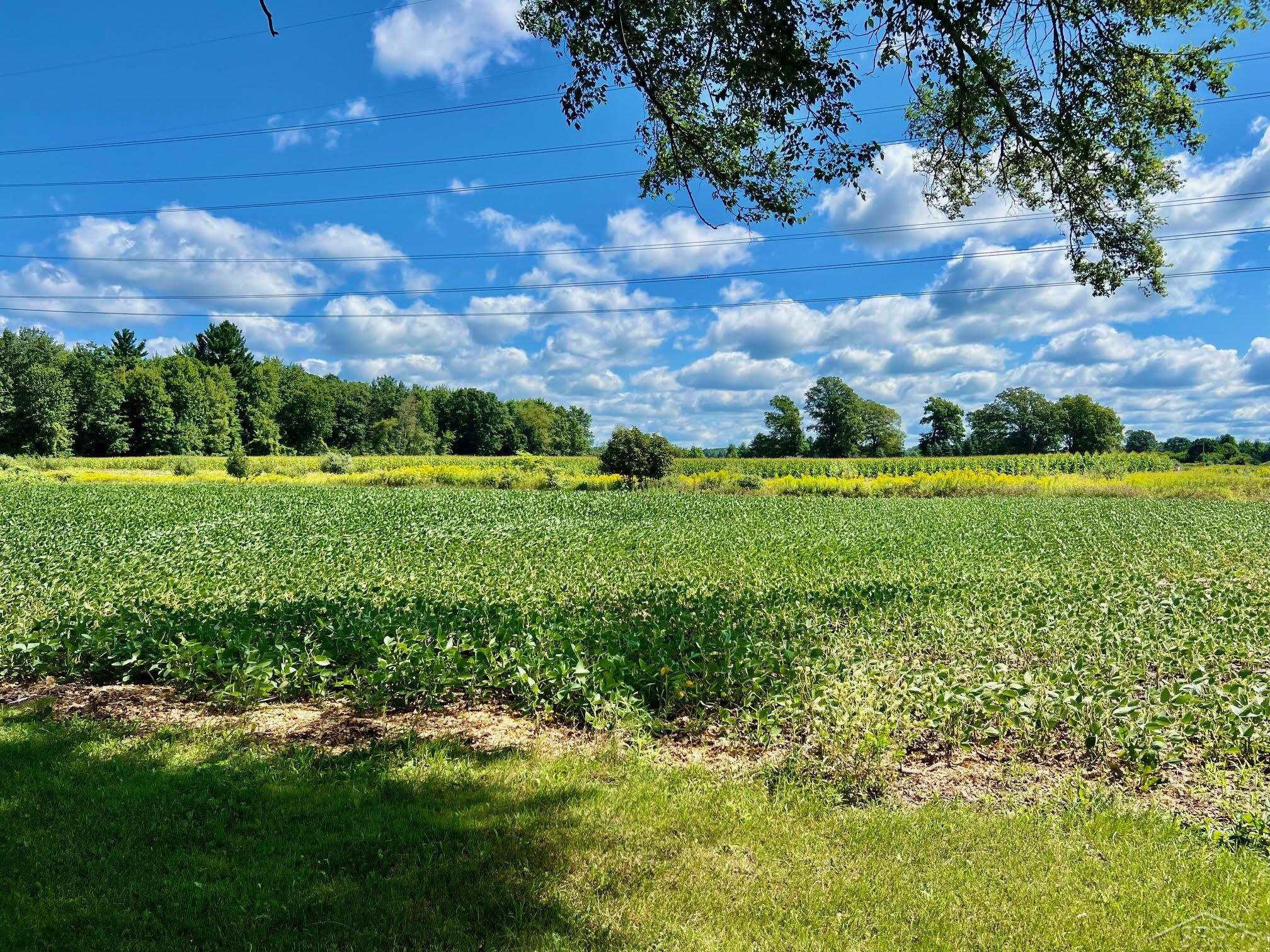 15240 W Townline Road, Saint Charles, MI 48655 — Photo 18