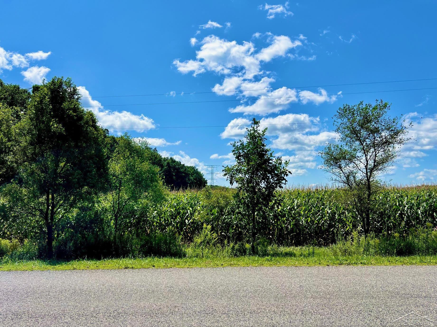15240 W Townline Road, Saint Charles, MI 48655 — Photo 19