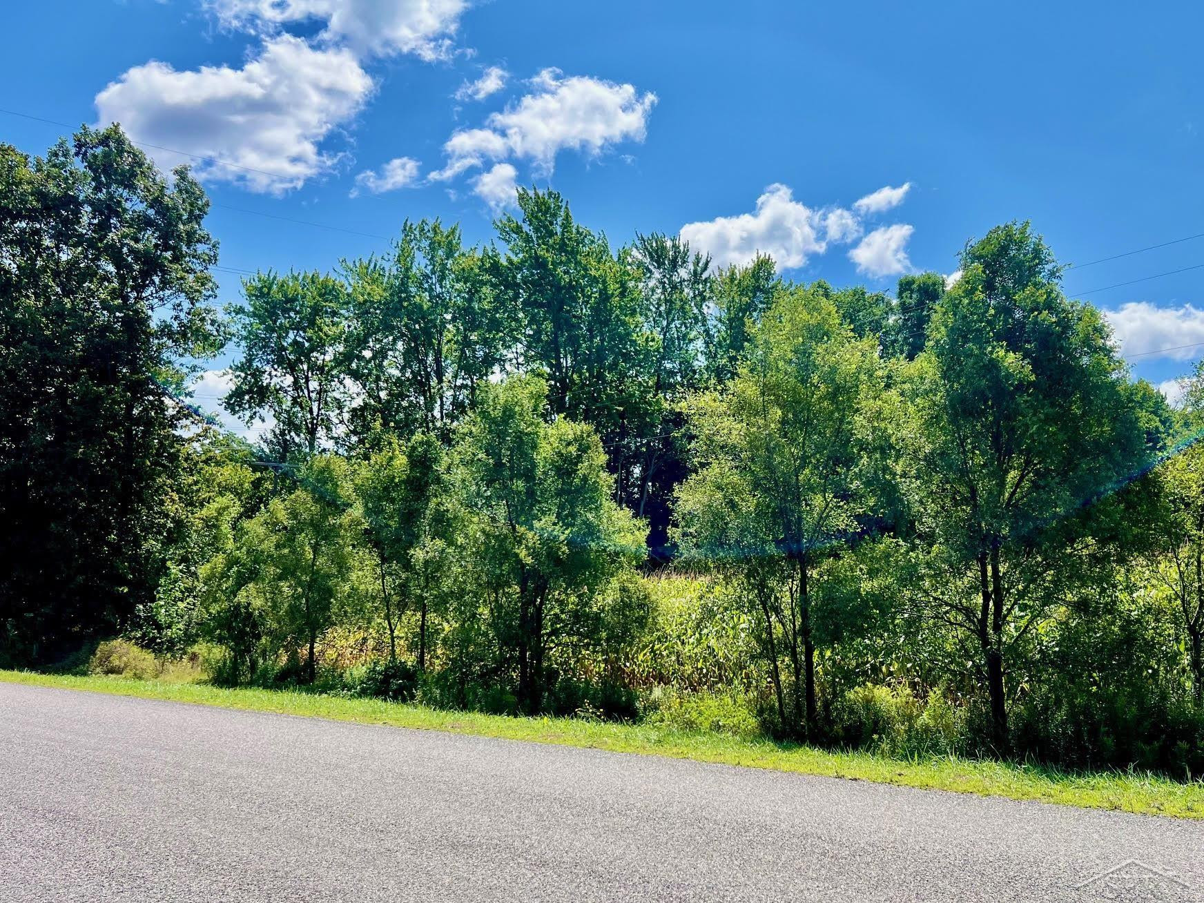 15240 W Townline Road, Saint Charles, MI 48655 — Photo 24