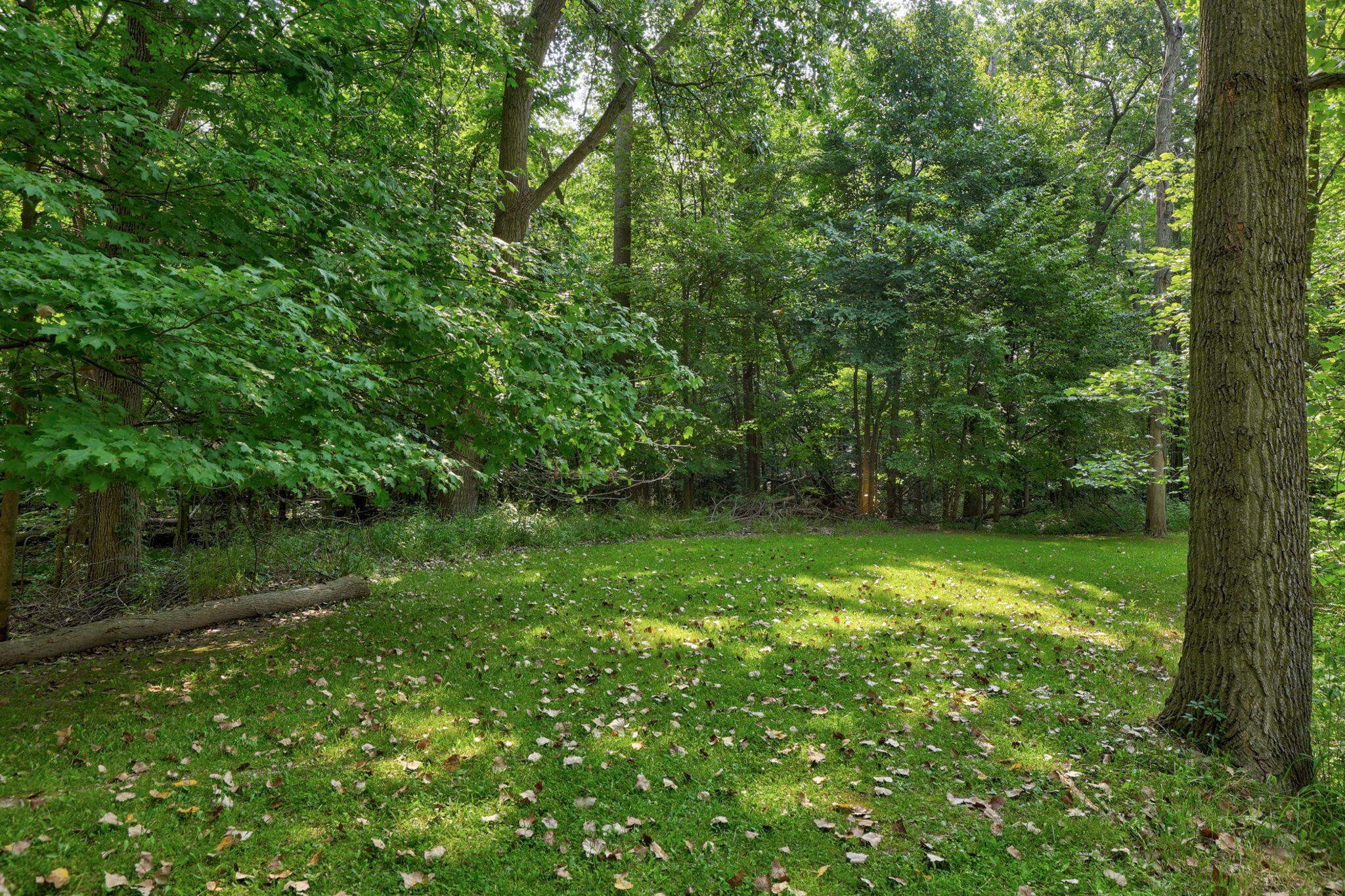 4705 Weiss Road, Frankenmuth, MI 48734 — Photo 63