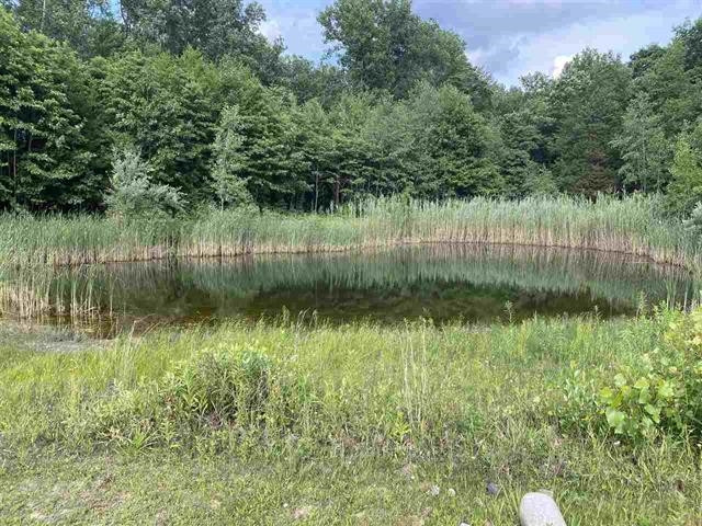 15365 Fowler, Oakley, MI 48649 — Photo 33