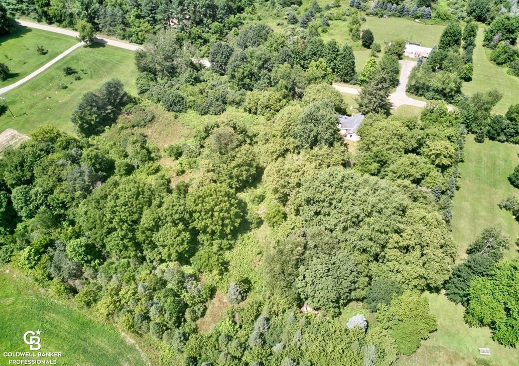 10097 Beckett Road, MI 48006 — Photo 9