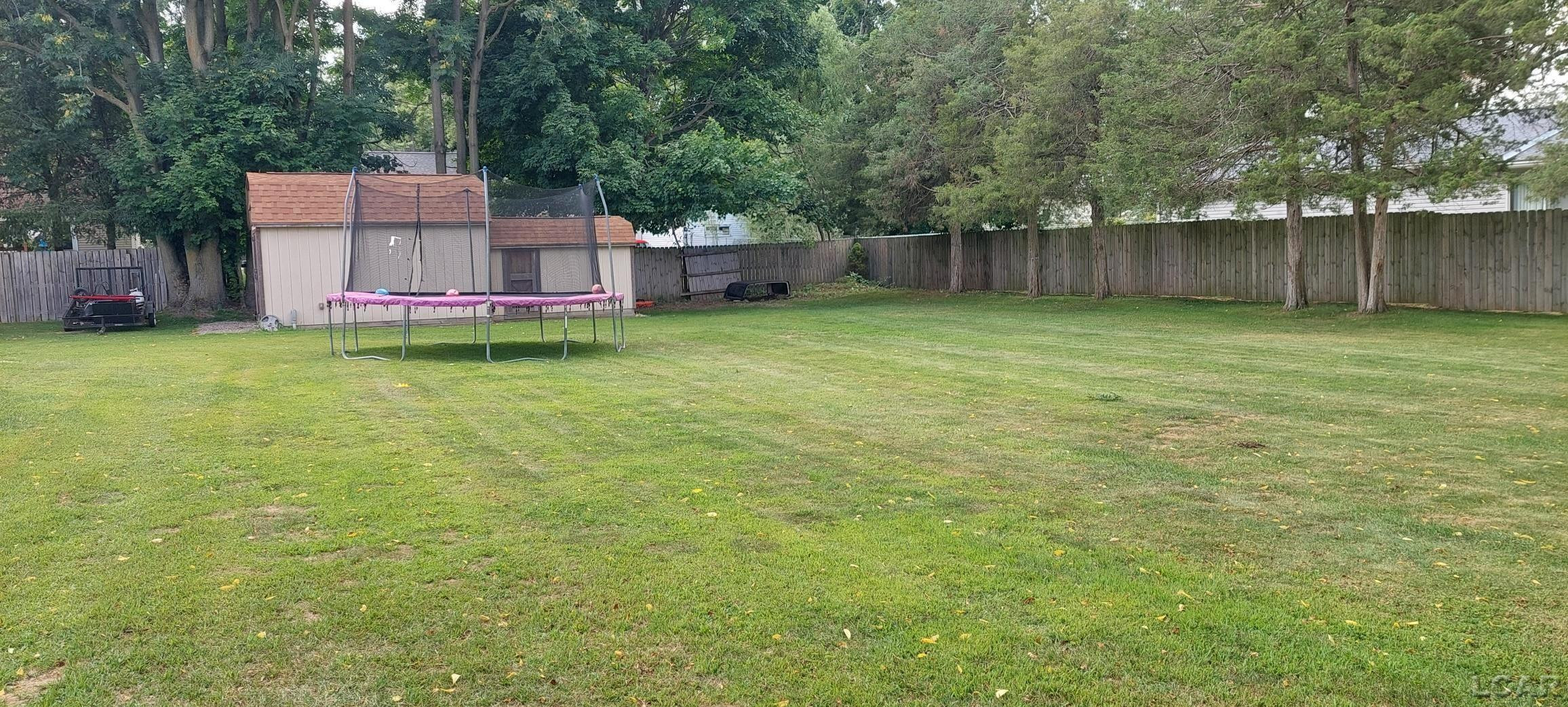 338 CONNOR, Onsted, MI 49265 — Photo 4