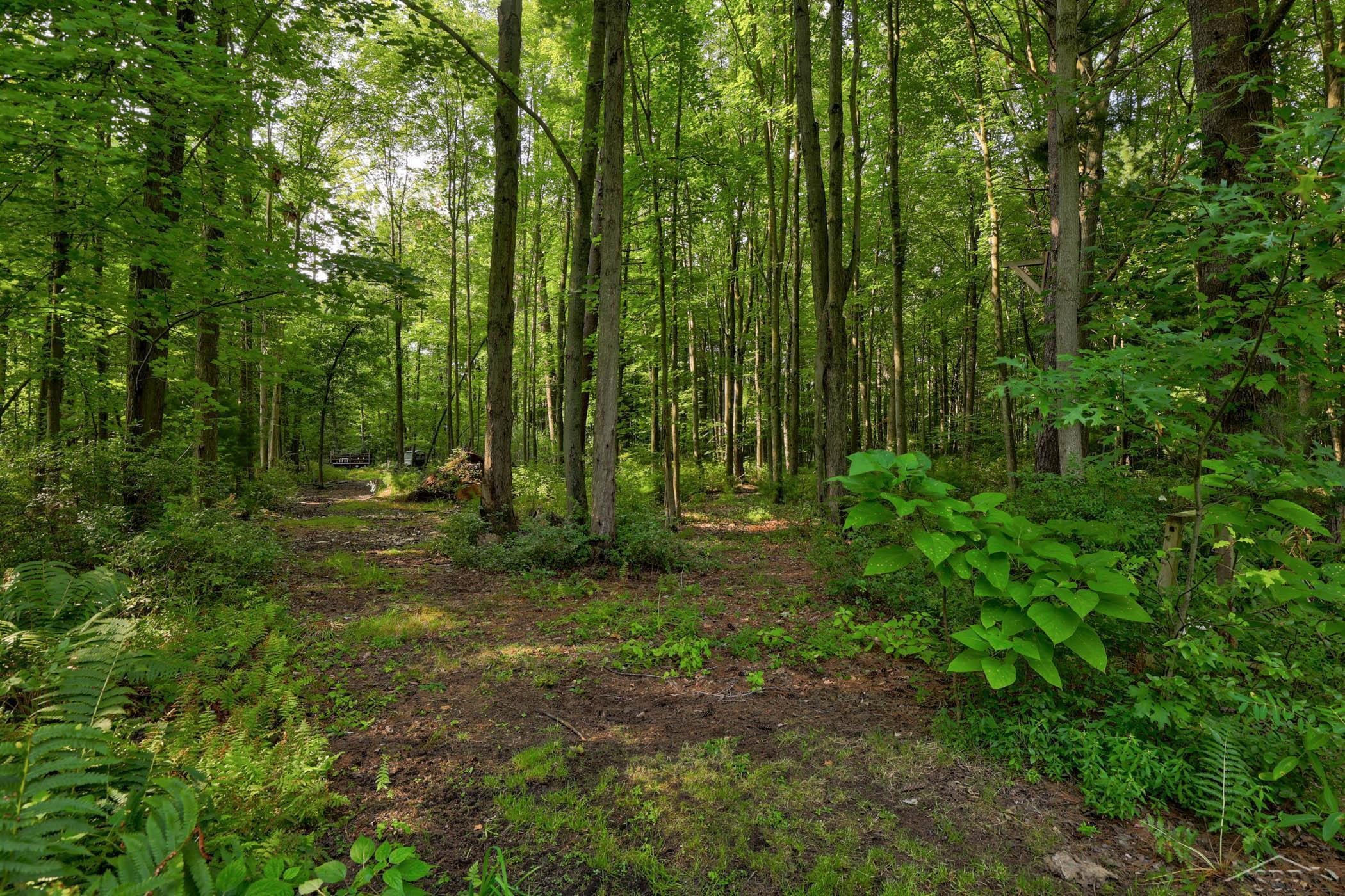11355 Swan Creek Road, Saginaw, MI 48609 — Photo 40
