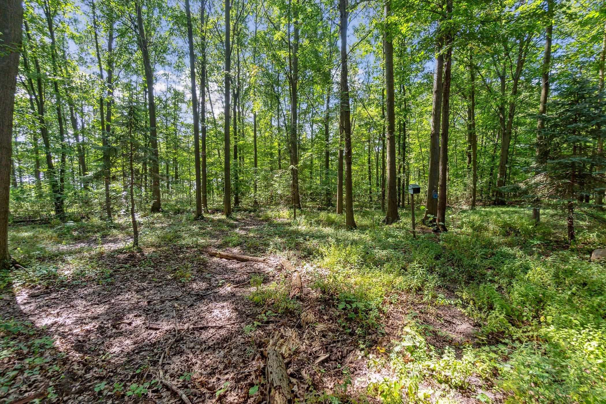 5703 Peet, Chesaning, MI 48616 — Photo 47