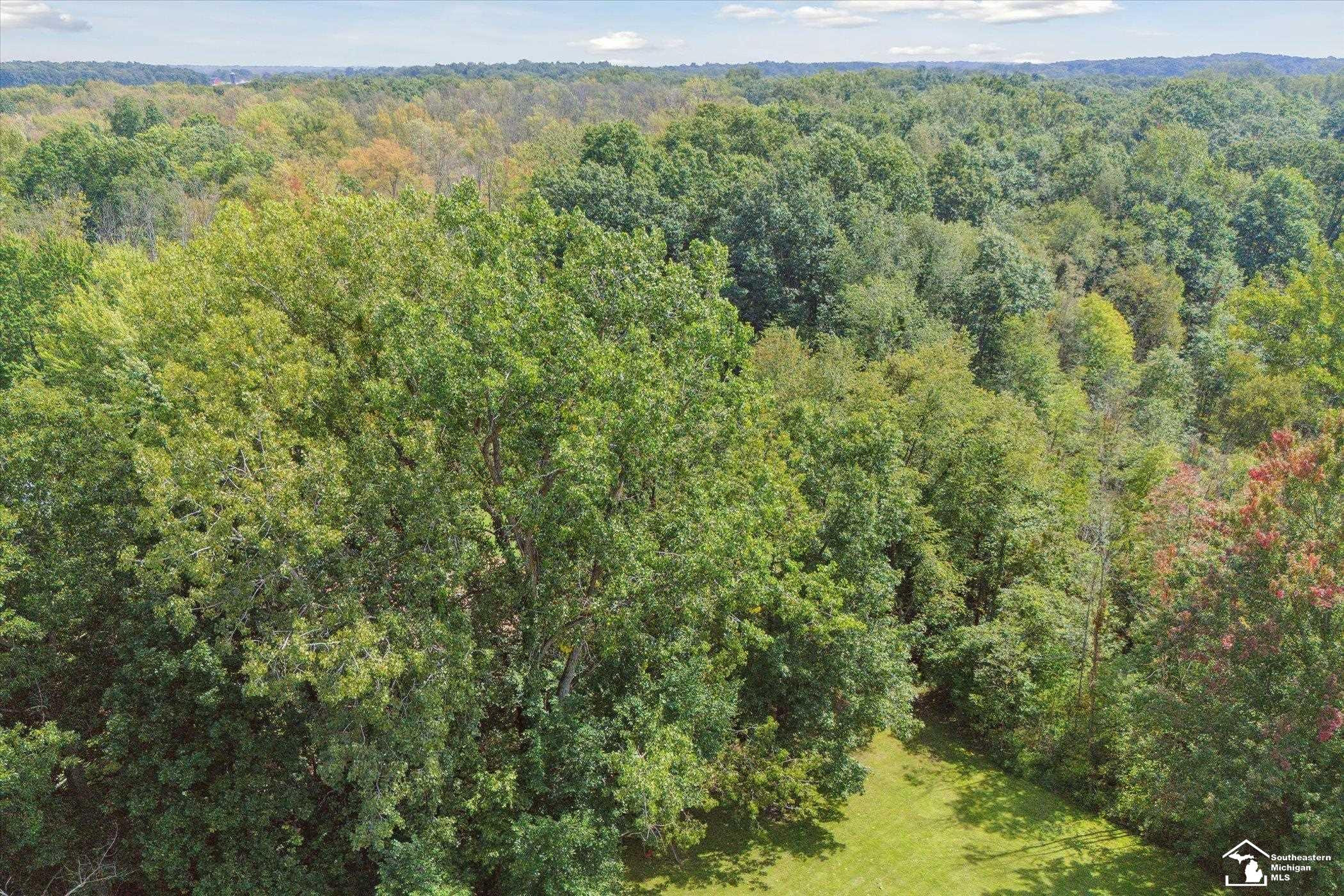 9071 Coon Lake, Gregory, MI 48137 — Photo 55