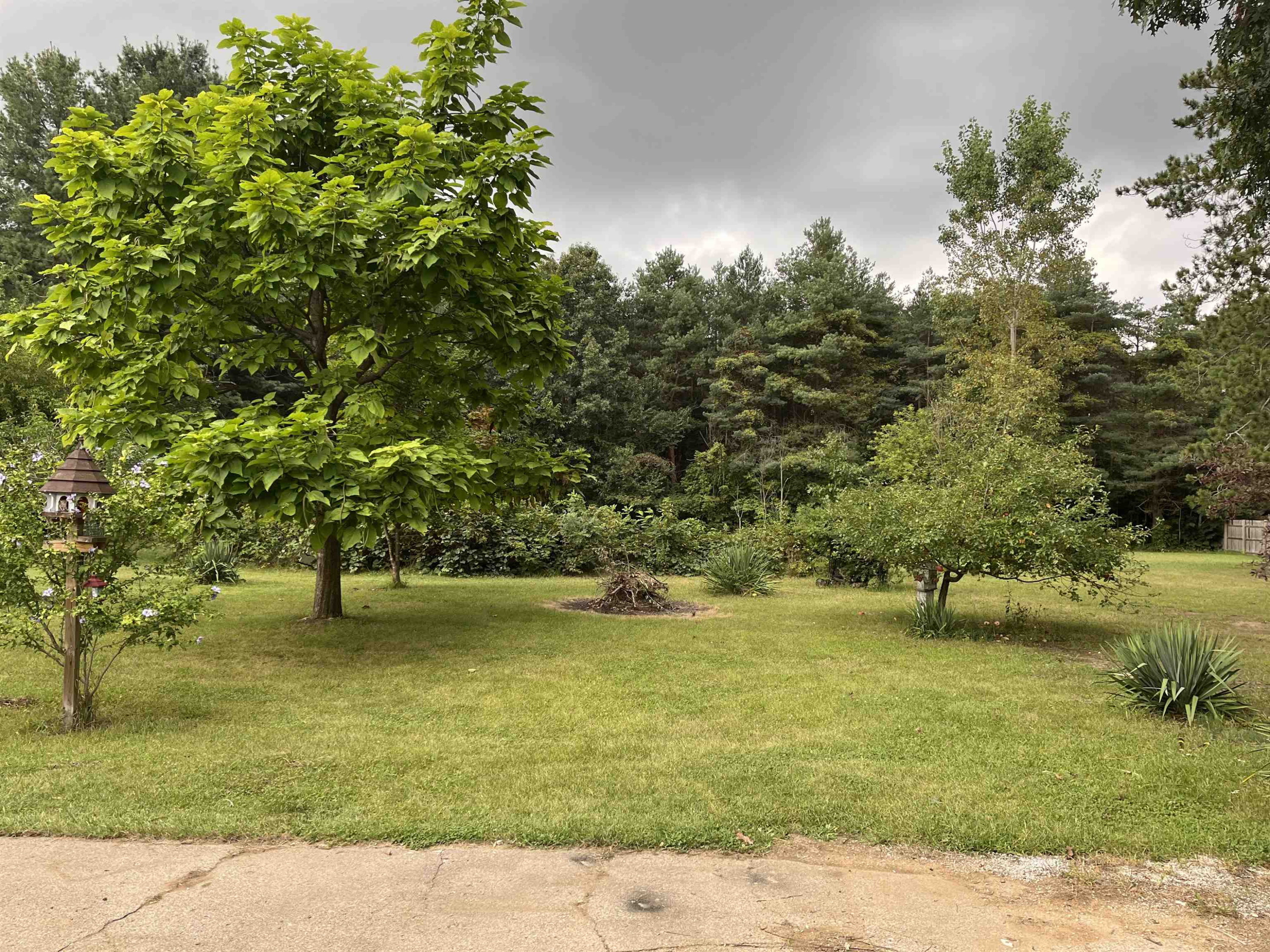 12004 Sharon, Oakley, MI 48649 — Photo 20