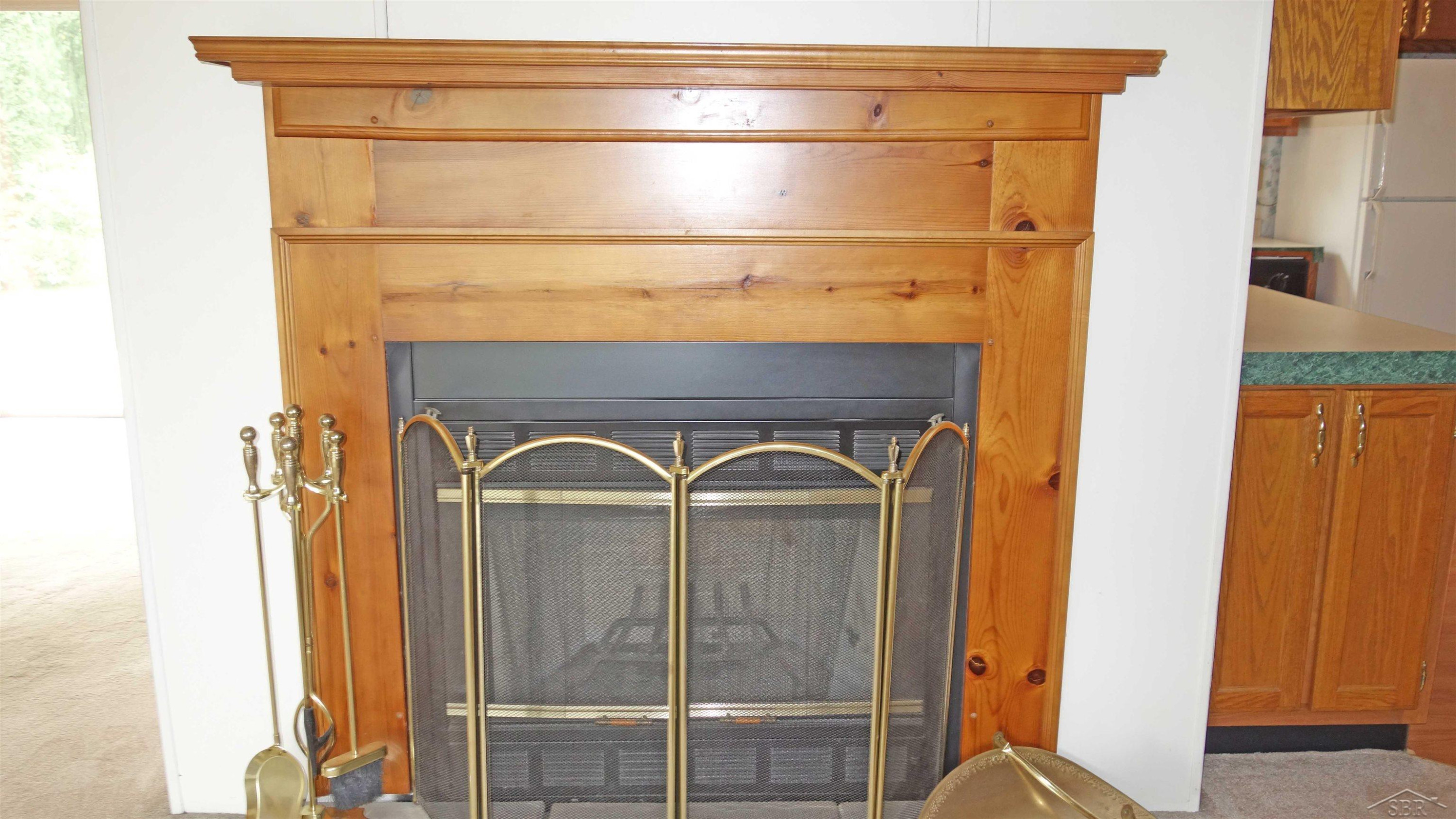 813 W Liberty Street, Chesaning, MI 48616 — Photo 4