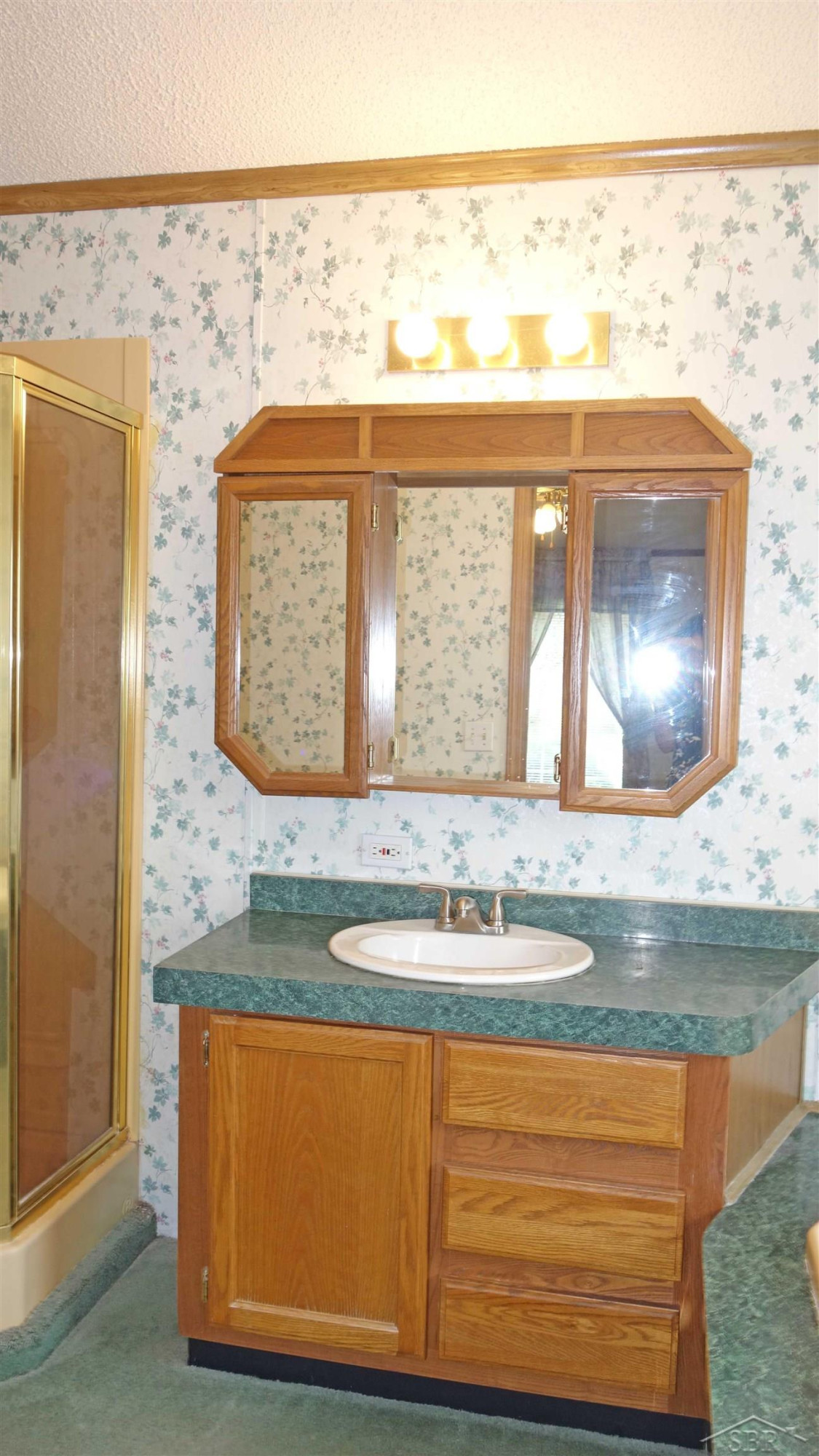 813 W Liberty Street, Chesaning, MI 48616 — Photo 14