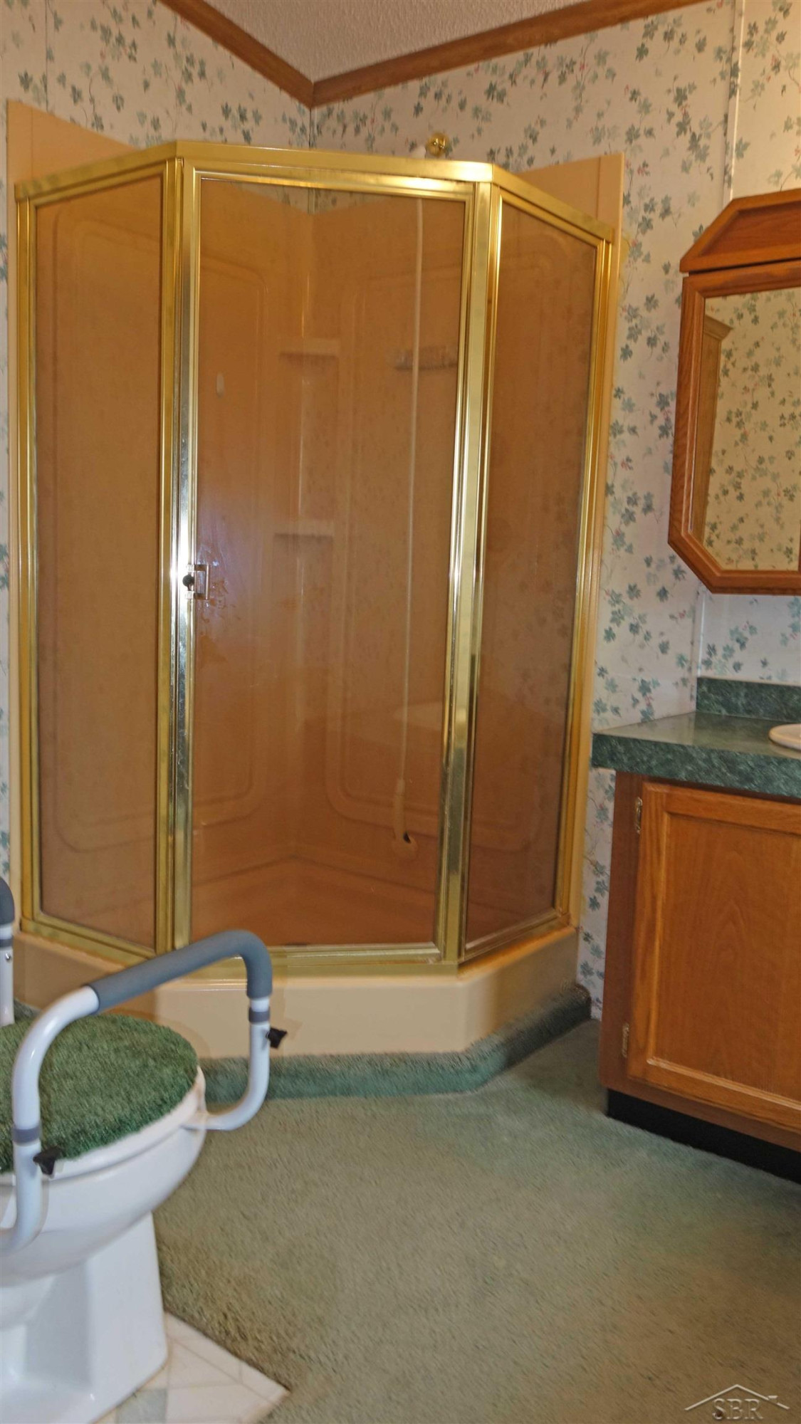 813 W Liberty Street, Chesaning, MI 48616 — Photo 16